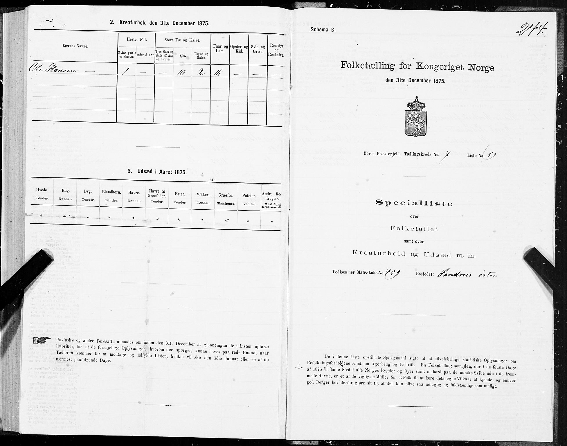 SAT, 1875 census for 1640P Røros, 1875, p. 4244