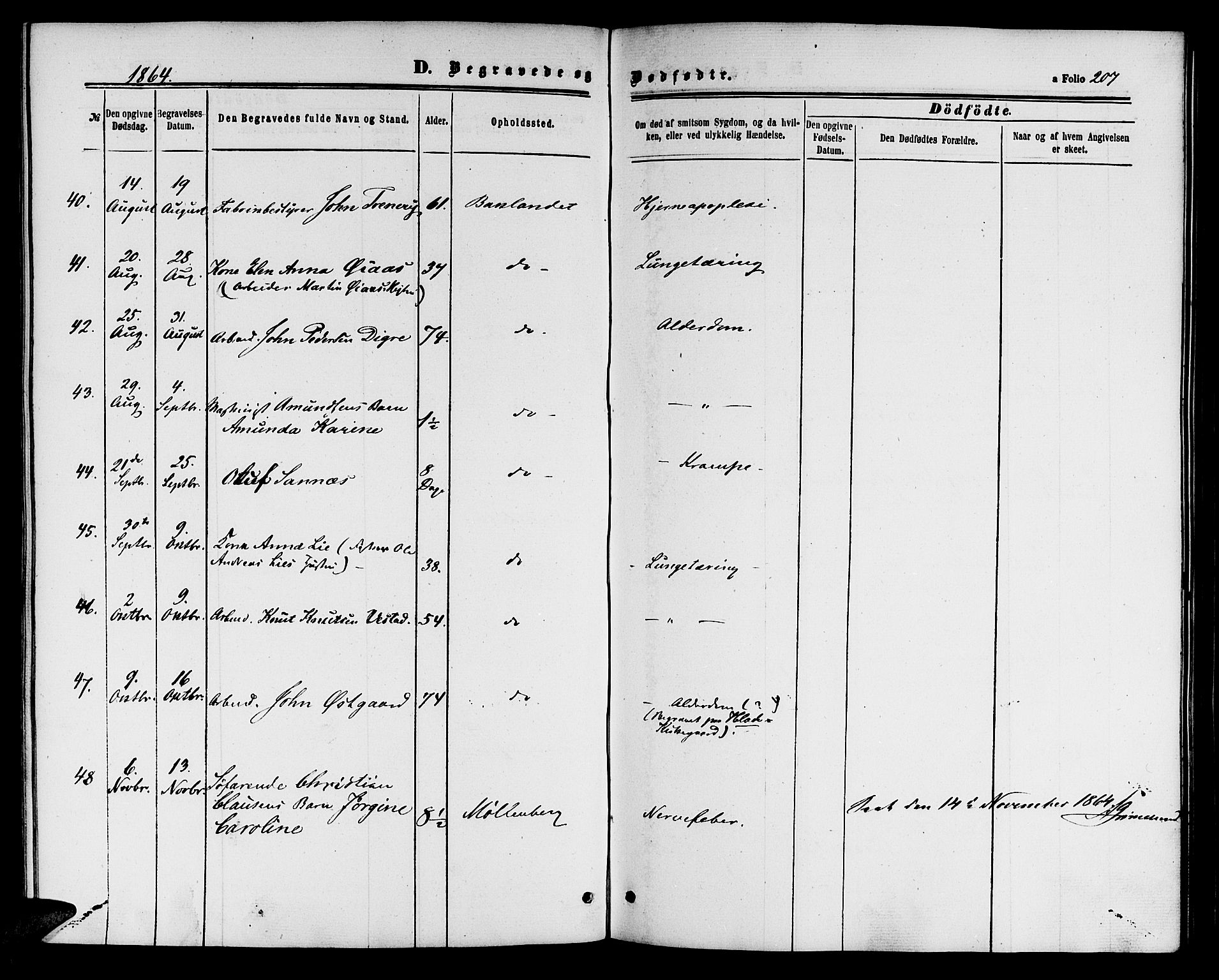 Ministerialprotokoller, klokkerbøker og fødselsregistre - Sør-Trøndelag, AV/SAT-A-1456/604/L0185: Parish register (official) no. 604A06, 1861-1865, p. 207