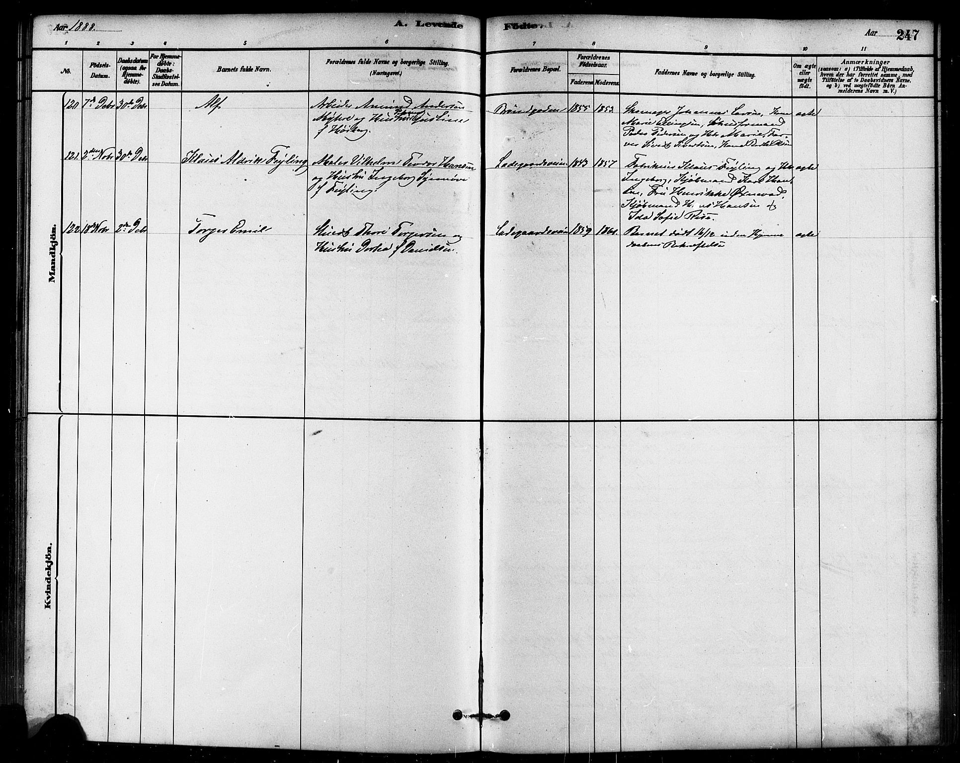 Domkirken sokneprestkontor, AV/SAST-A-101812/001/30/30BB/L0015: Parish register (copy) no. B 15, 1880-1891, p. 247