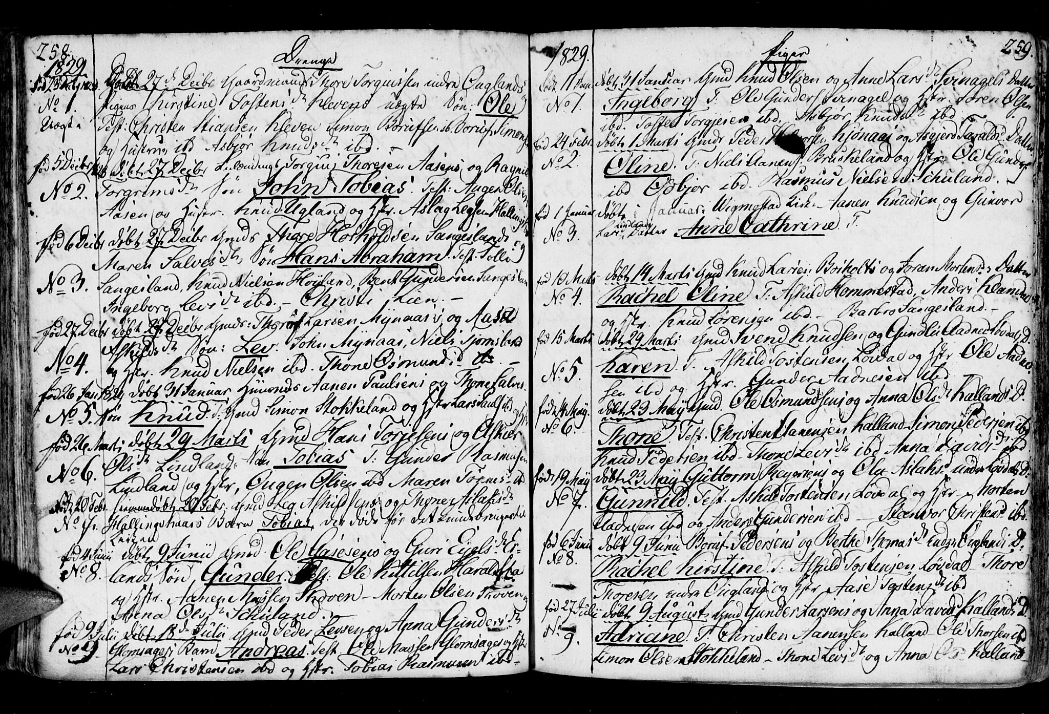 Holum sokneprestkontor, AV/SAK-1111-0022/F/Fa/Fab/L0004: Parish register (official) no. A 4, 1774-1847, p. 258-259