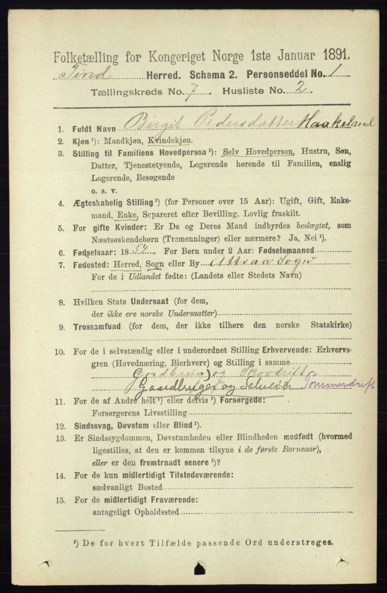 RA, 1891 census for 0826 Tinn, 1891, p. 1445