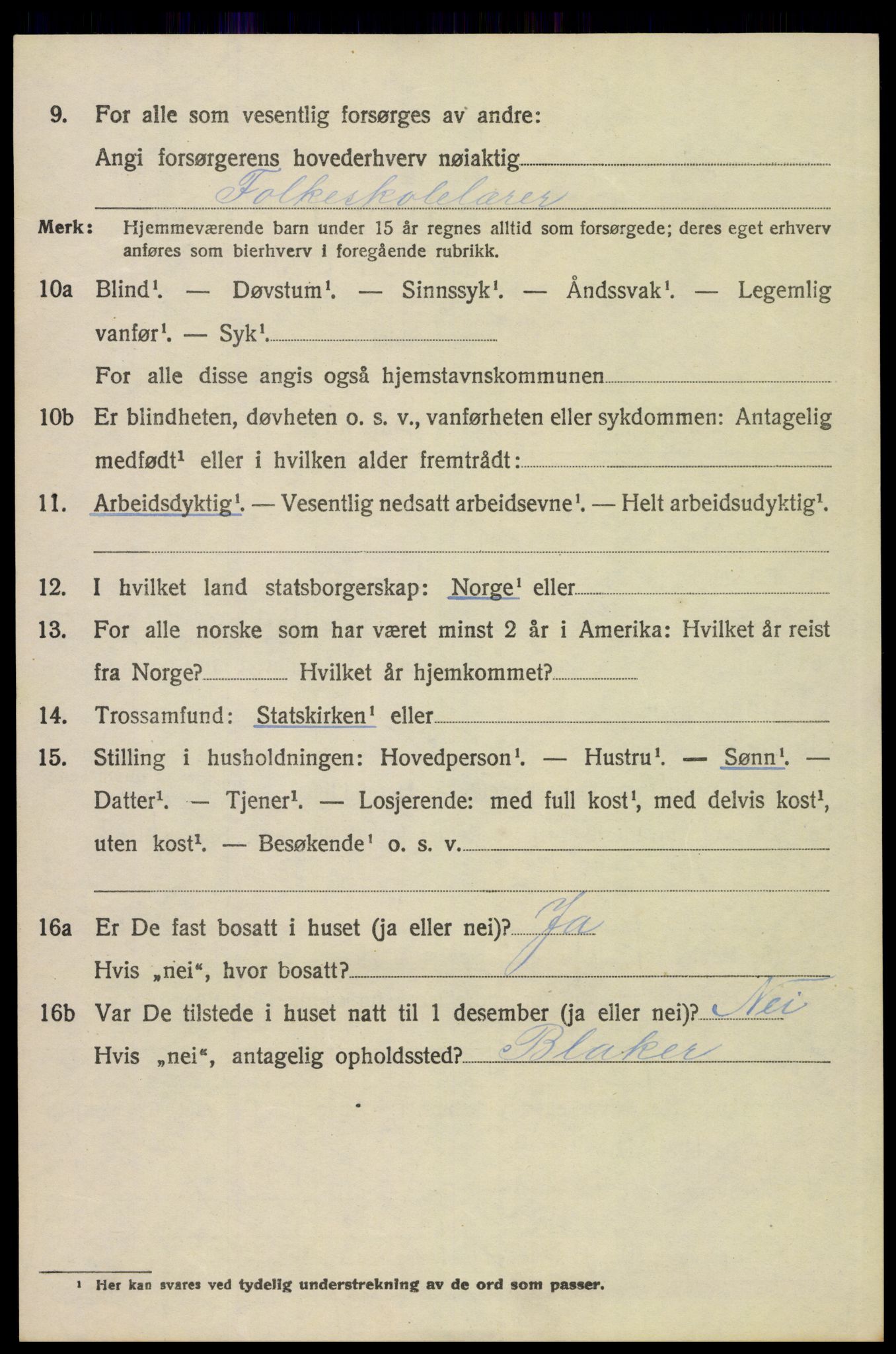 SAH, 1920 census for Vinger, 1920, p. 11409