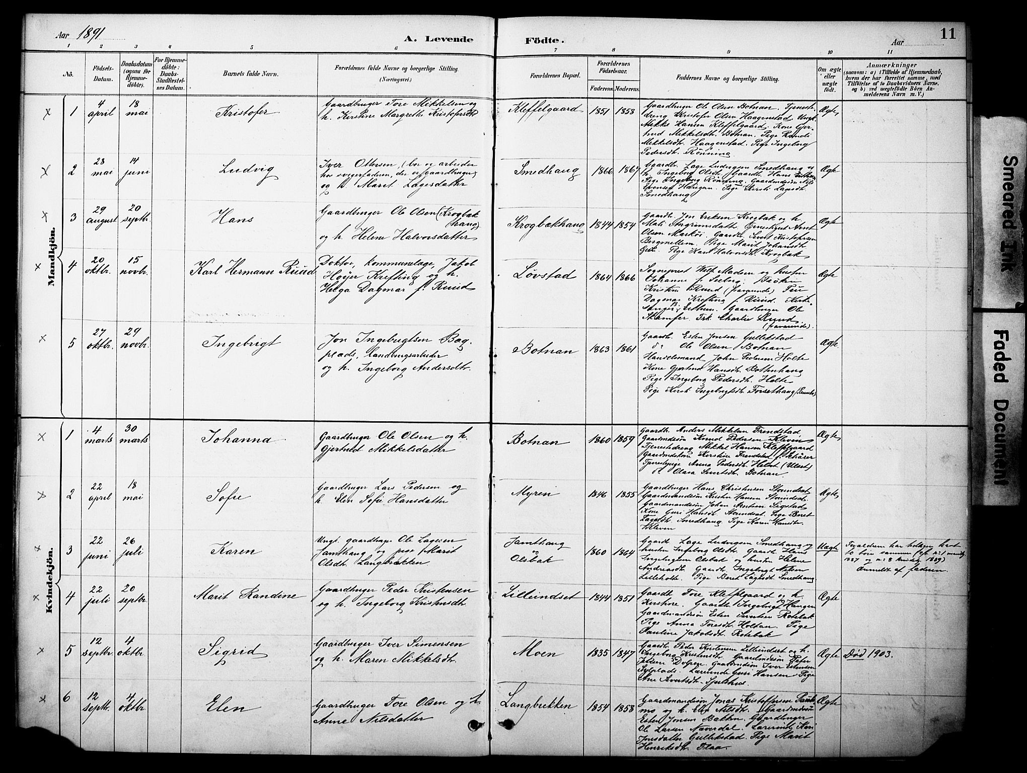 Kvikne prestekontor, SAH/PREST-064/H/Ha/Haa/L0007: Parish register (official) no. 7, 1887-1911, p. 11