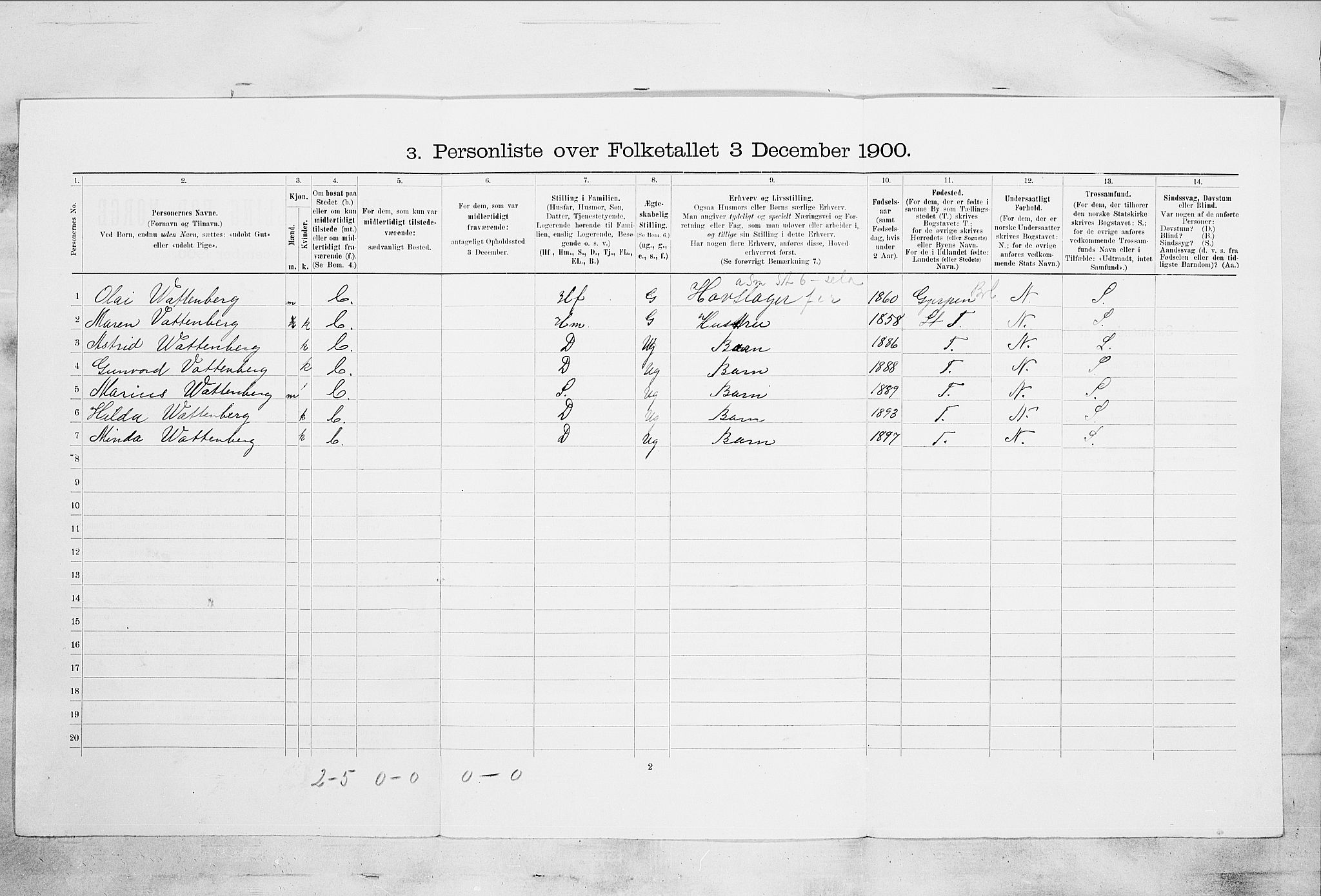 SAKO, 1900 census for Skien, 1900, p. 455