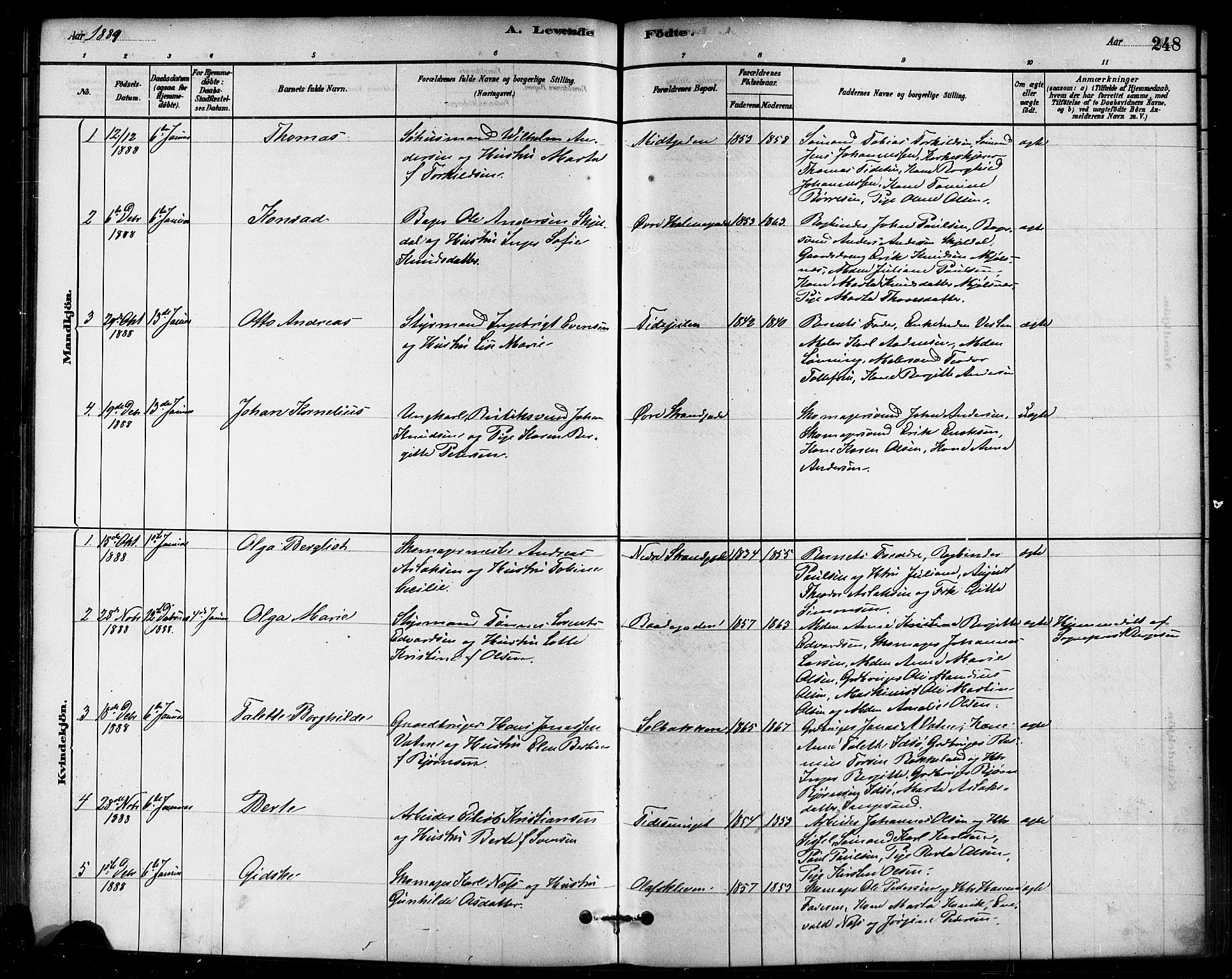 Domkirken sokneprestkontor, SAST/A-101812/001/30/30BB/L0015: Parish register (copy) no. B 15, 1880-1891, p. 248