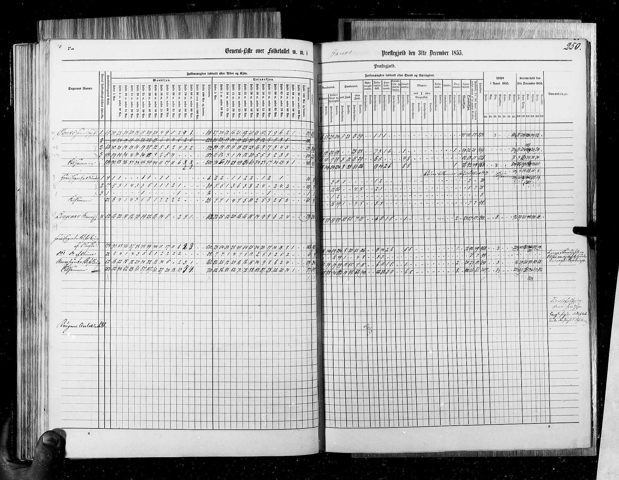 RA, Census 1855, vol. 6B: Nordland amt og Finnmarken amt, 1855, p. 250