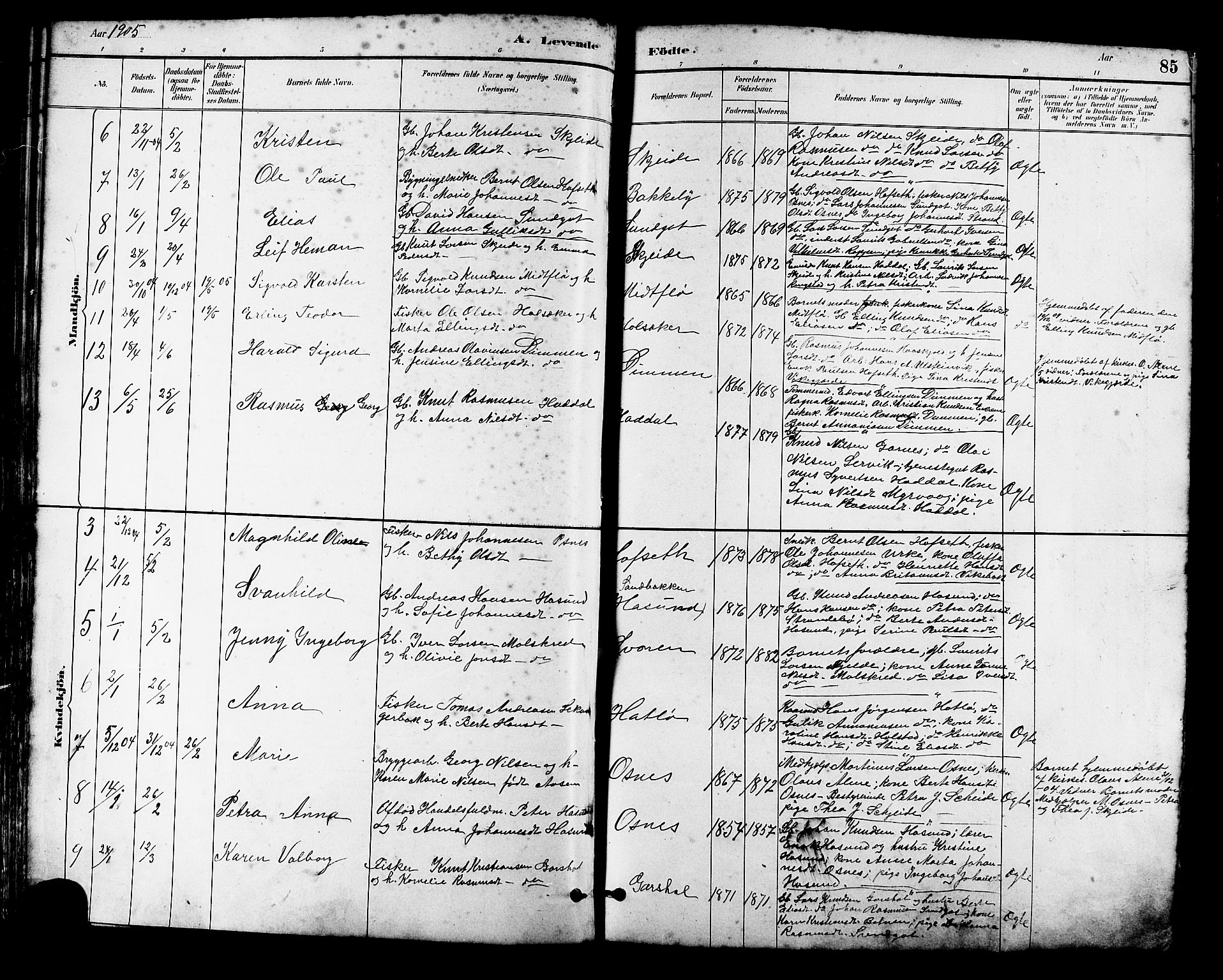Ministerialprotokoller, klokkerbøker og fødselsregistre - Møre og Romsdal, SAT/A-1454/509/L0112: Parish register (copy) no. 509C02, 1883-1922, p. 85