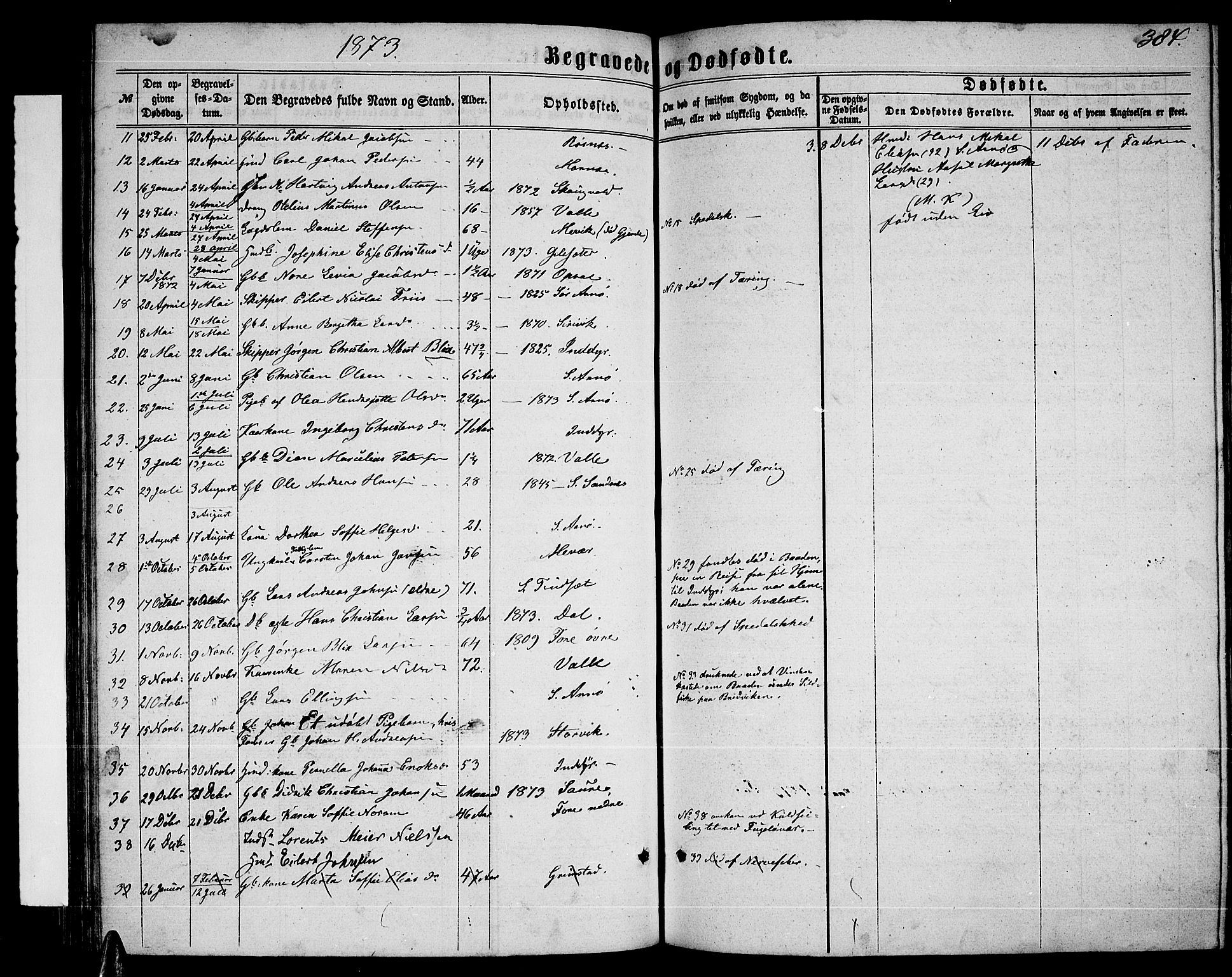 Ministerialprotokoller, klokkerbøker og fødselsregistre - Nordland, AV/SAT-A-1459/805/L0107: Parish register (copy) no. 805C03, 1862-1885, p. 384