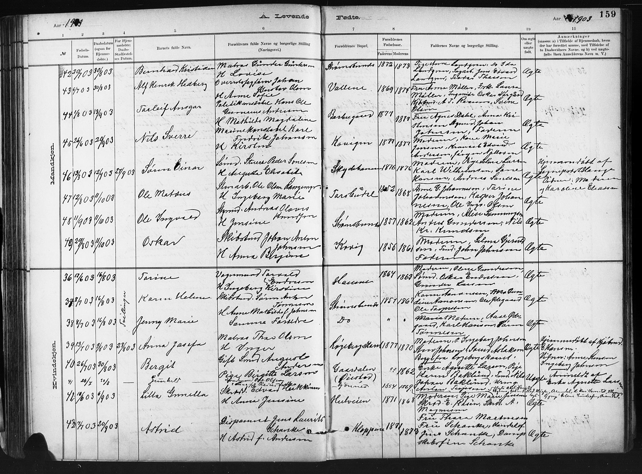 Barbu sokneprestkontor, AV/SAK-1111-0003/F/Fb/L0002: Parish register (copy) no. B 2, 1890-1922, p. 159