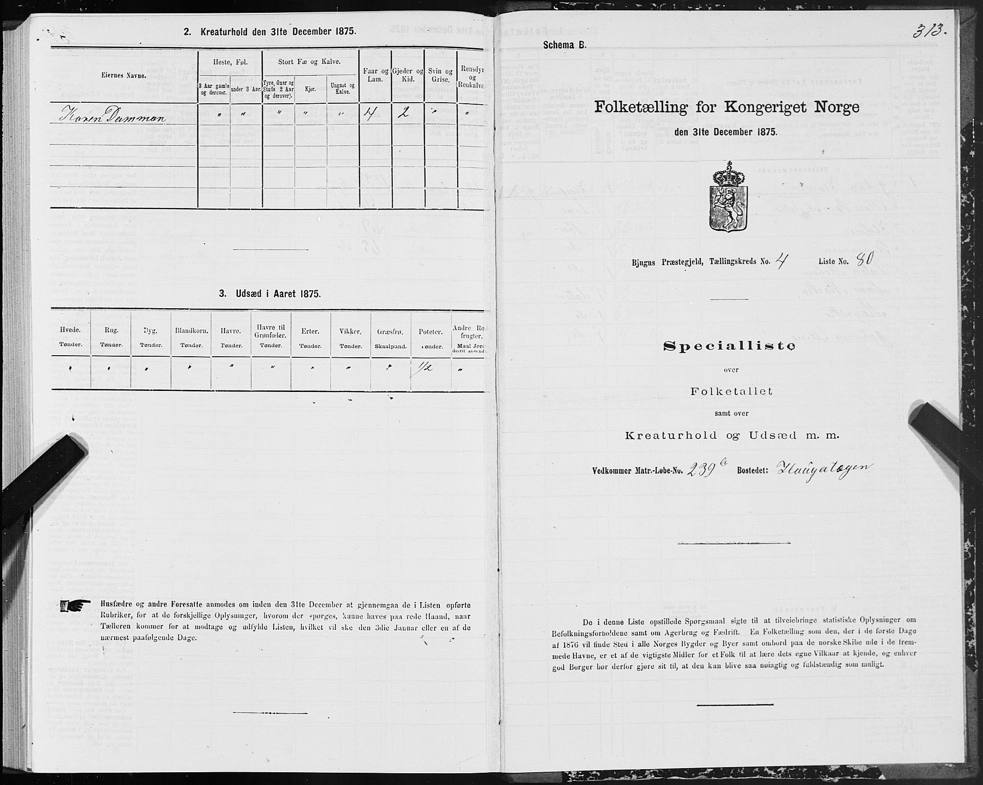 SAT, 1875 census for 1627P Bjugn, 1875, p. 2313