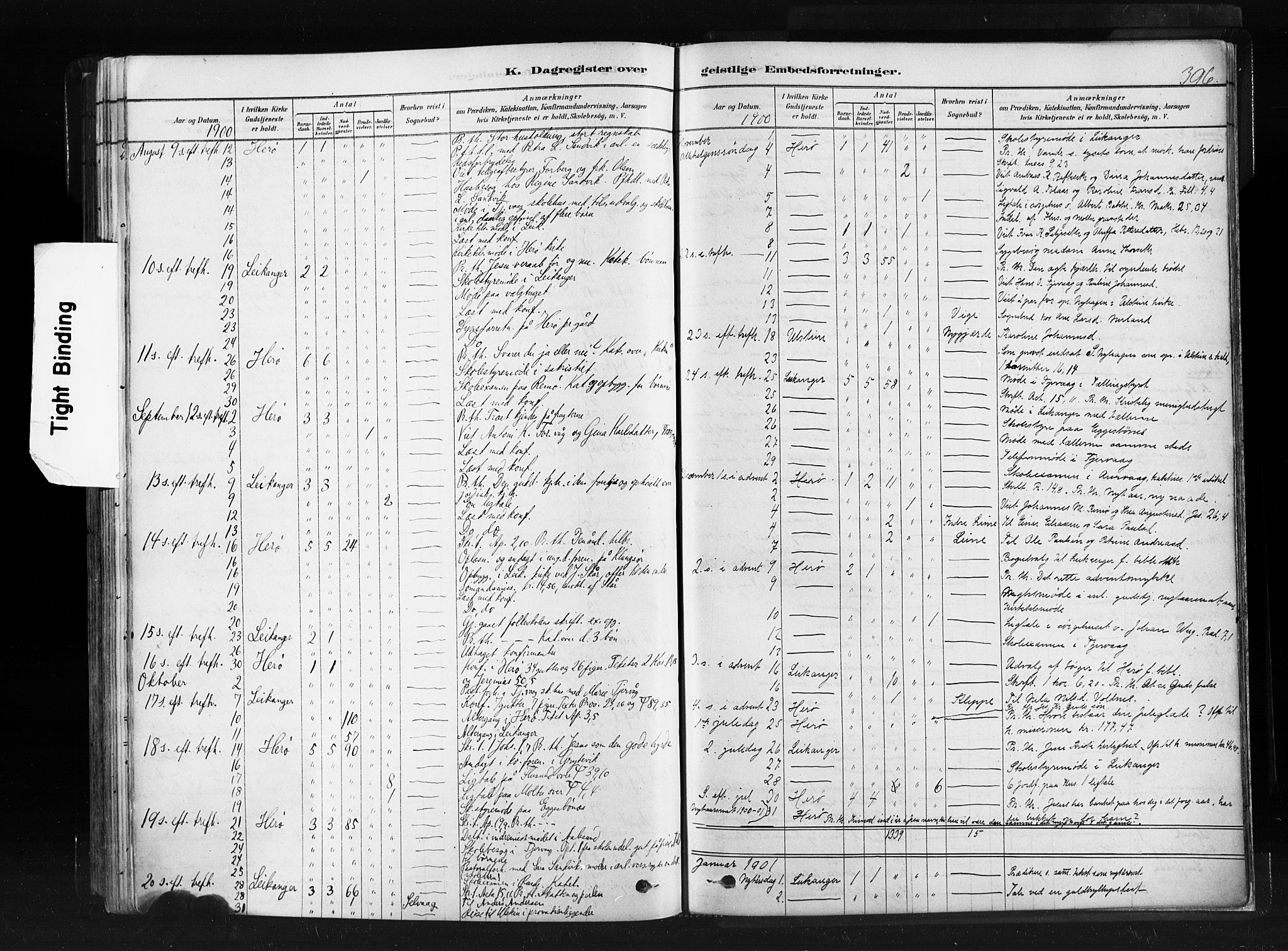 Ministerialprotokoller, klokkerbøker og fødselsregistre - Møre og Romsdal, AV/SAT-A-1454/507/L0073: Parish register (official) no. 507A08, 1878-1904, p. 396