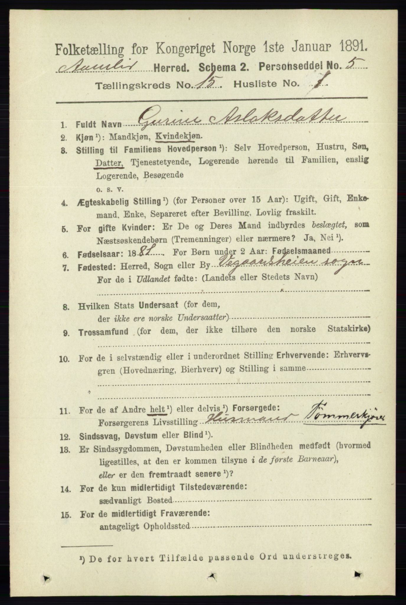 RA, 1891 census for 0929 Åmli, 1891, p. 2547