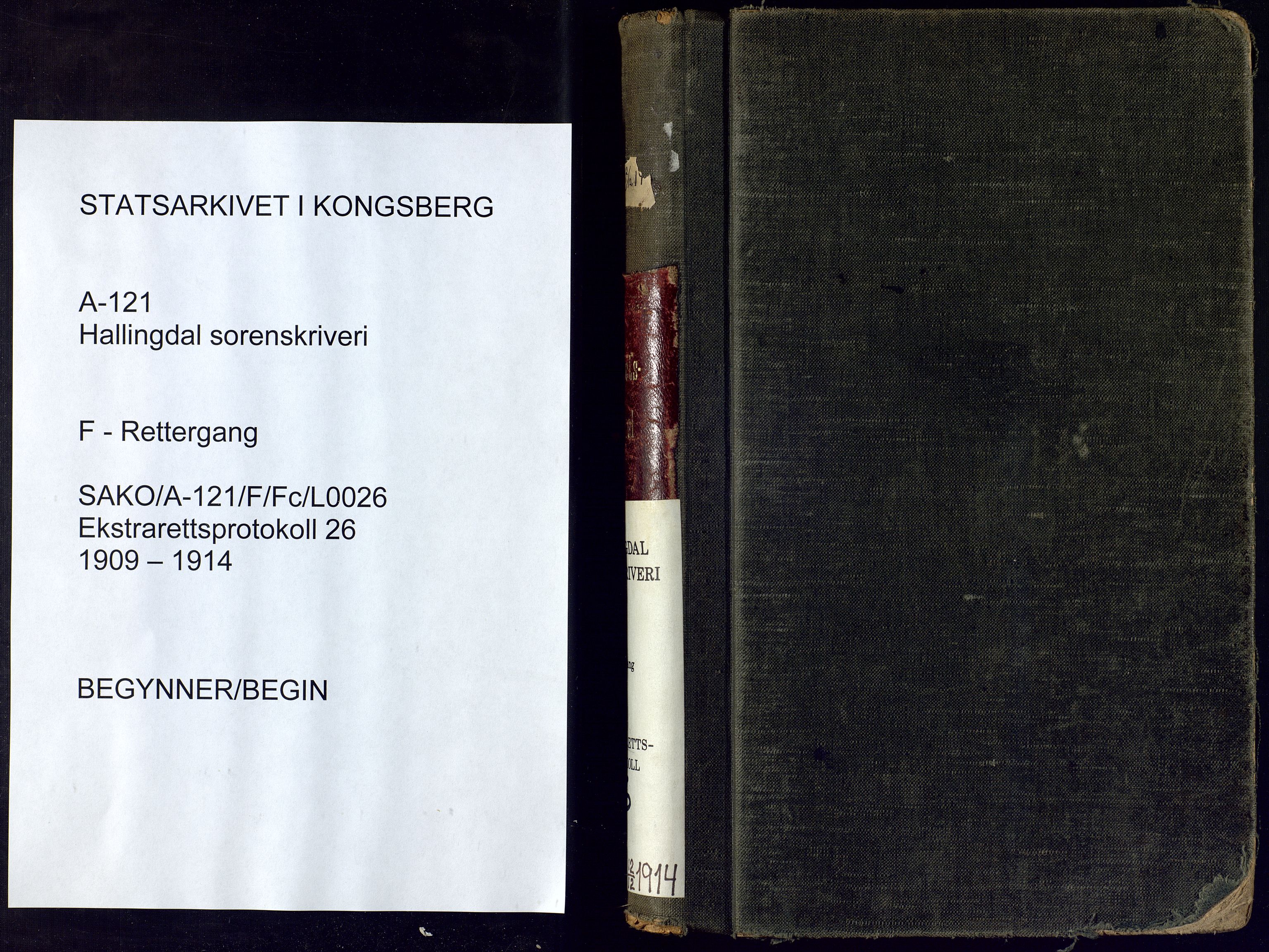Hallingdal sorenskriveri, AV/SAKO-A-121/F/Fc/L0026: Ekstrarettsprotokoll, 1909-1914