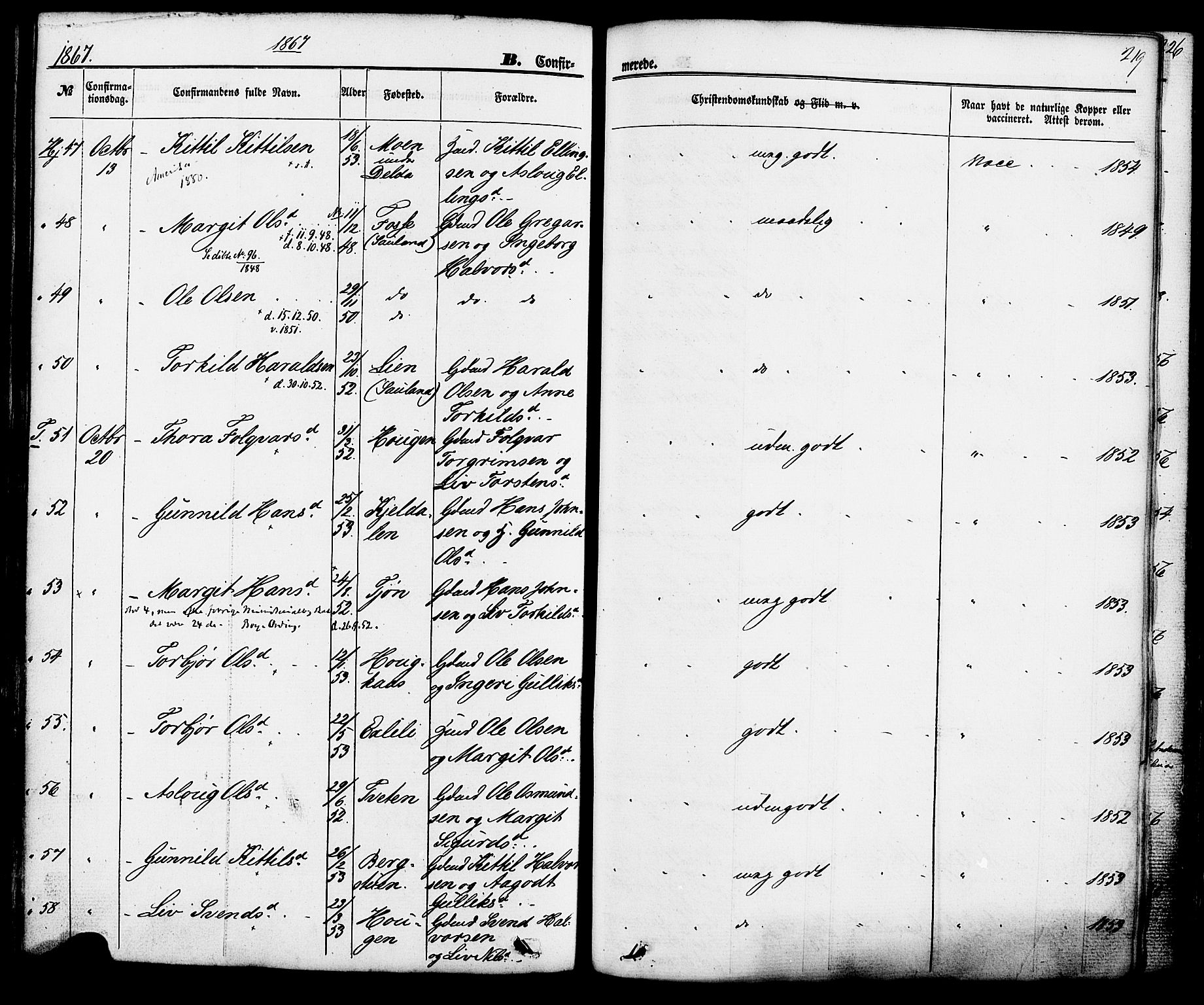 Hjartdal kirkebøker, SAKO/A-270/F/Fa/L0009: Parish register (official) no. I 9, 1860-1879, p. 219