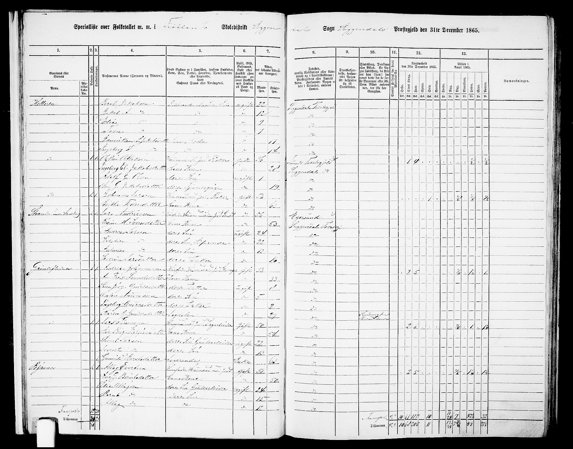 RA, 1865 census for Sokndal, 1865, p. 15