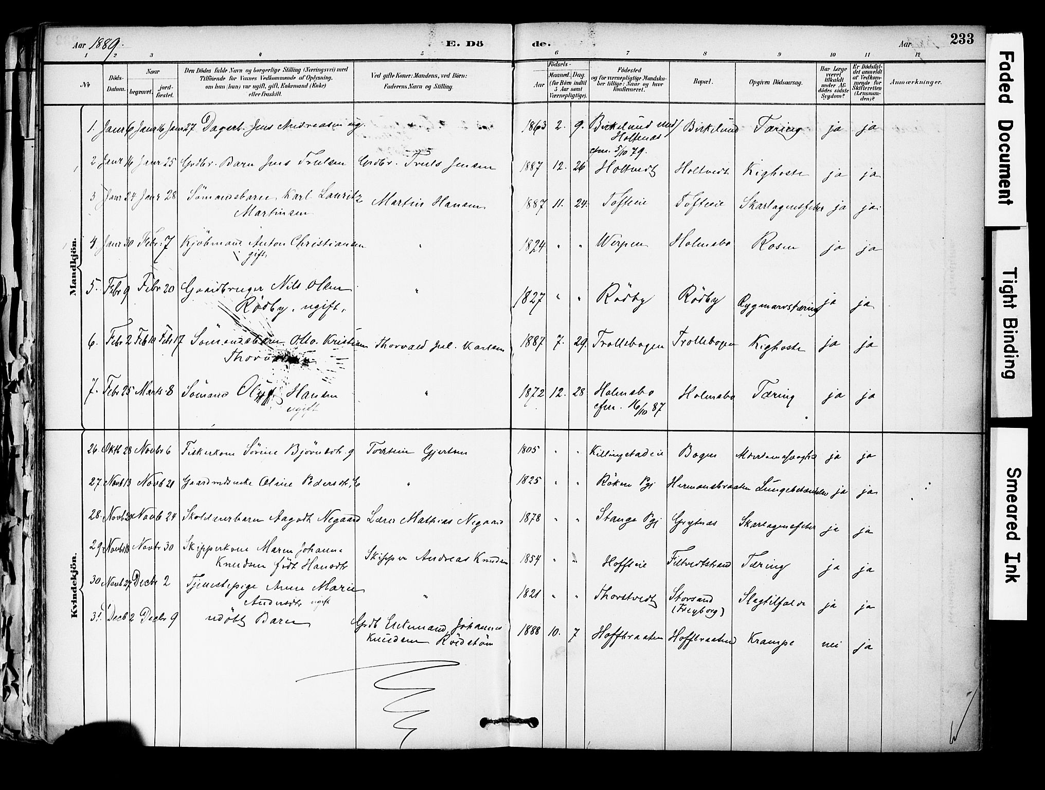 Hurum kirkebøker, SAKO/A-229/F/Fa/L0014: Parish register (official) no. 14, 1882-1895, p. 233