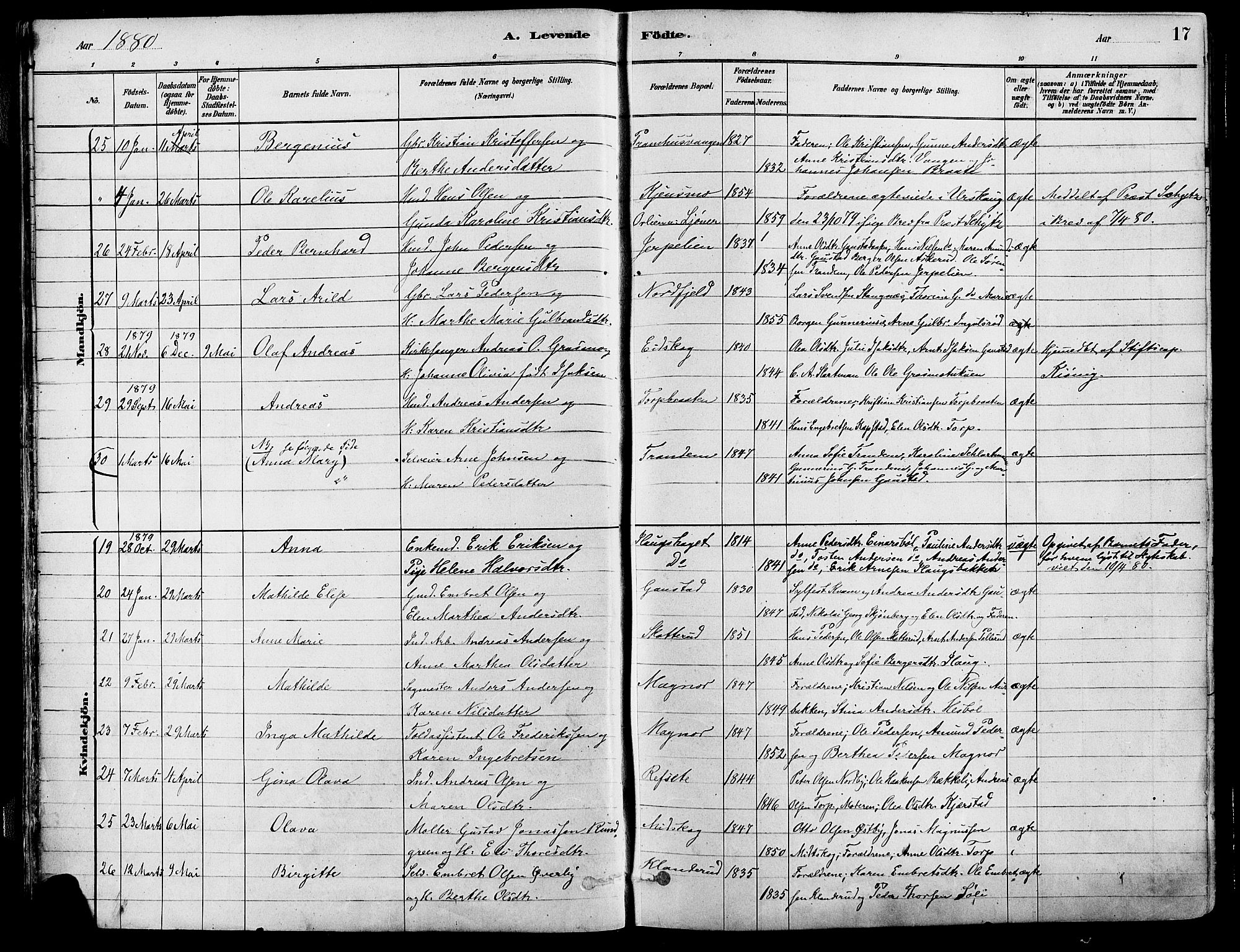 Eidskog prestekontor, SAH/PREST-026/H/Ha/Haa/L0003: Parish register (official) no. 3, 1879-1892, p. 17