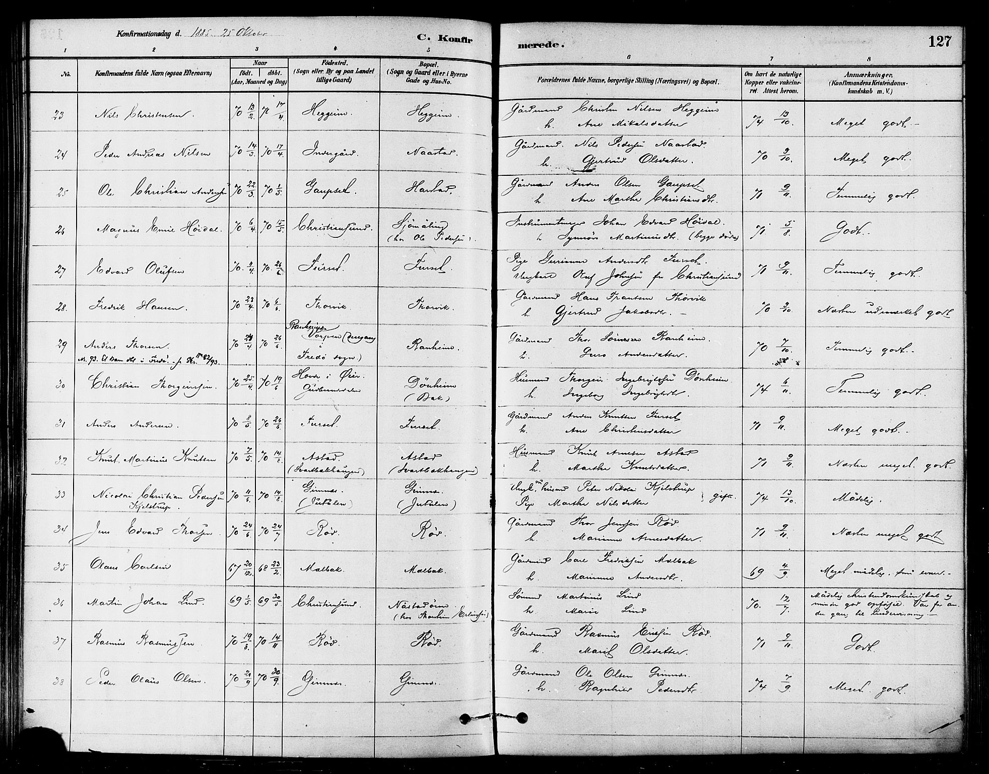 Ministerialprotokoller, klokkerbøker og fødselsregistre - Møre og Romsdal, AV/SAT-A-1454/584/L0967: Parish register (official) no. 584A07, 1879-1894, p. 127