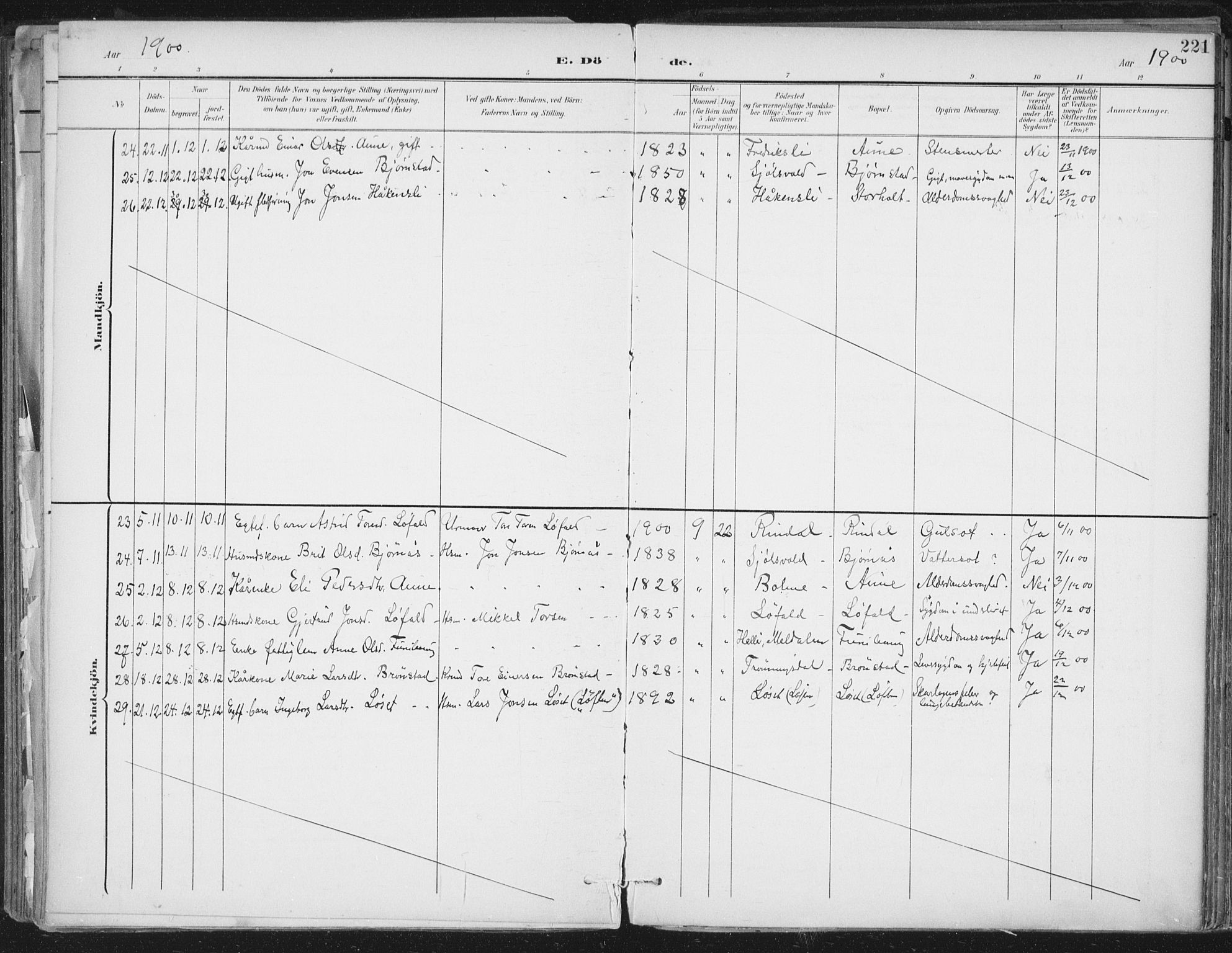 Ministerialprotokoller, klokkerbøker og fødselsregistre - Møre og Romsdal, AV/SAT-A-1454/598/L1072: Parish register (official) no. 598A06, 1896-1910, p. 221