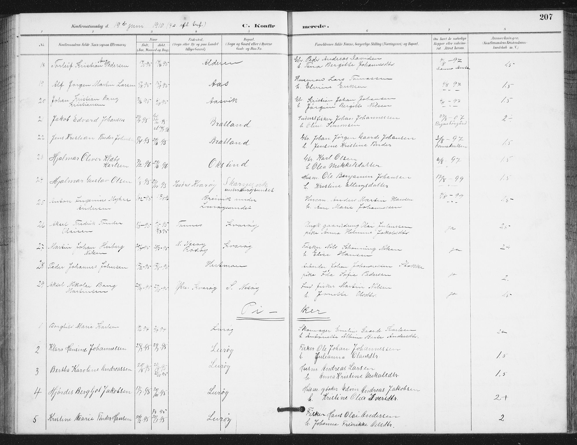 Ministerialprotokoller, klokkerbøker og fødselsregistre - Nordland, AV/SAT-A-1459/839/L0573: Parish register (copy) no. 839C03, 1892-1917, p. 207