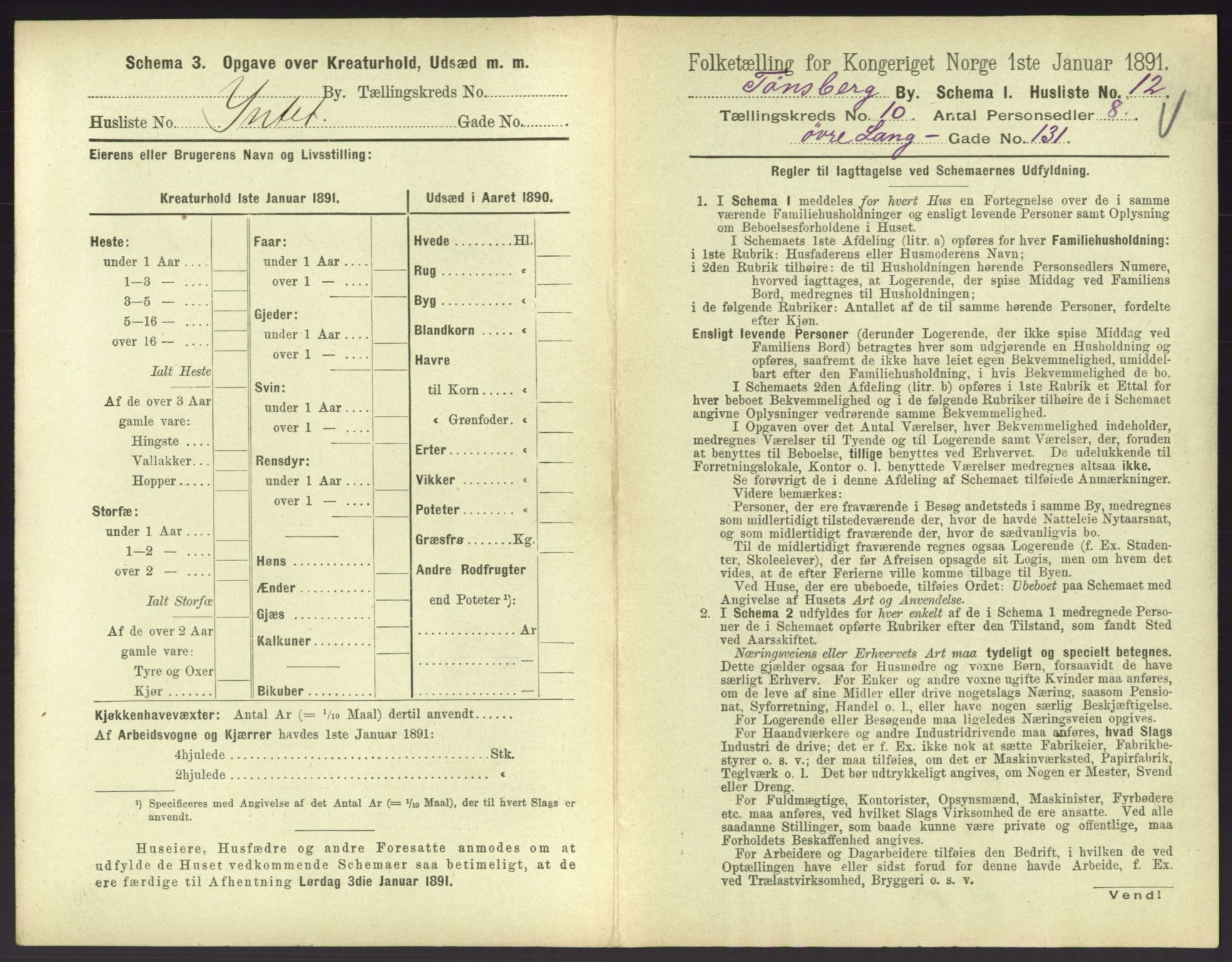 RA, 1891 census for 0705 Tønsberg, 1891, p. 420