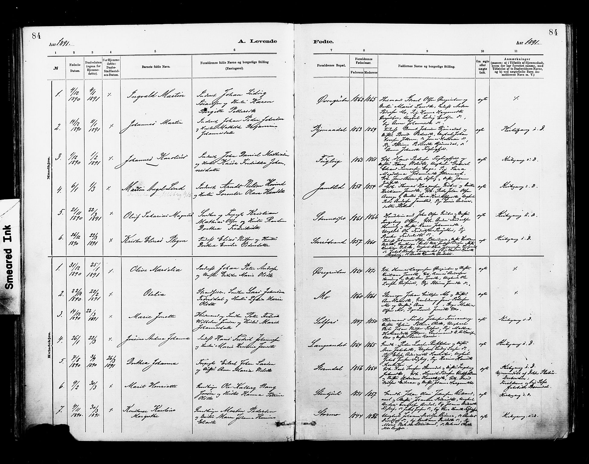Ministerialprotokoller, klokkerbøker og fødselsregistre - Nordland, SAT/A-1459/827/L0400: Parish register (official) no. 827A12, 1883-1903, p. 84