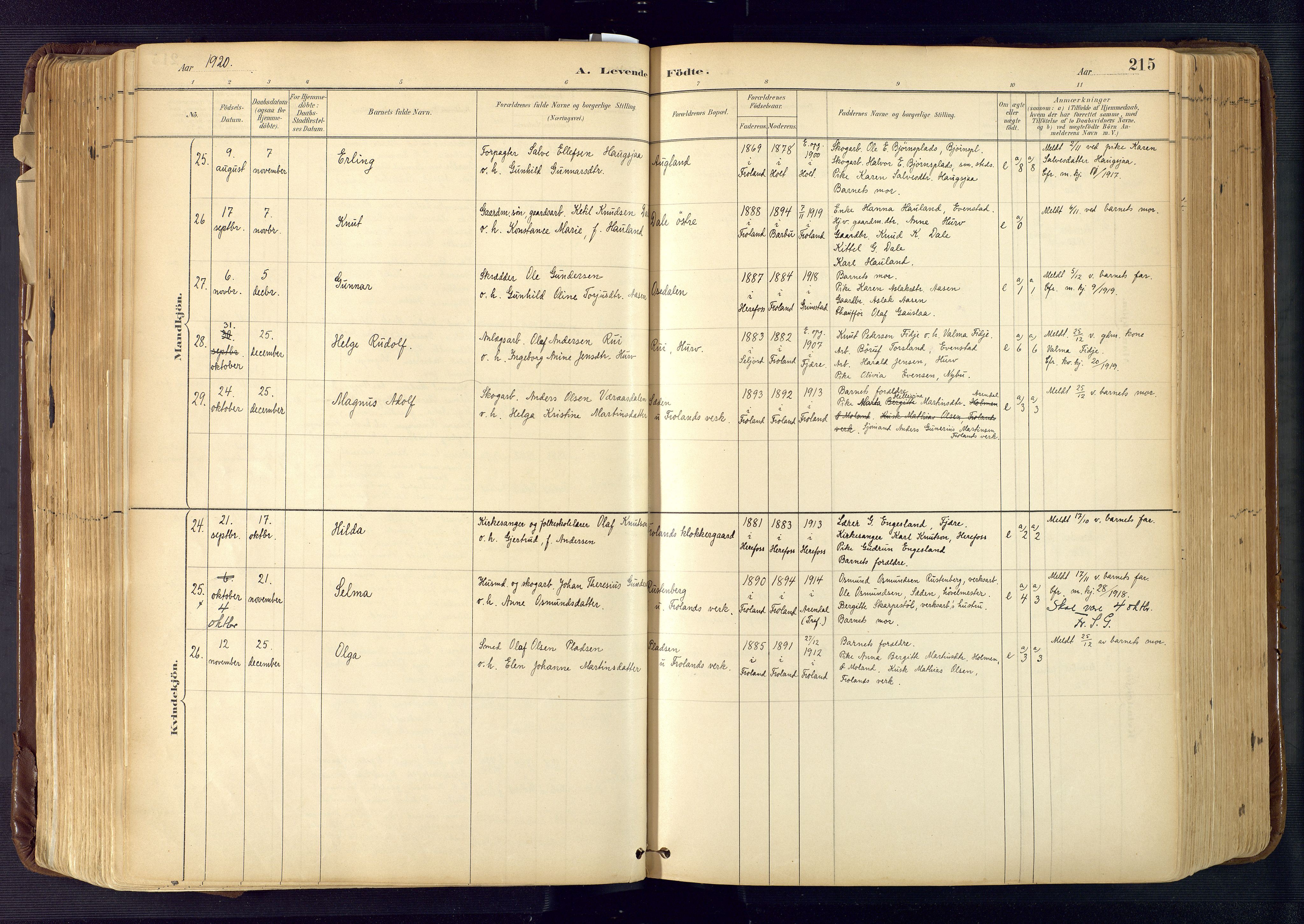 Froland sokneprestkontor, SAK/1111-0013/F/Fa/L0005: Parish register (official) no. A 5, 1882-1921, p. 215