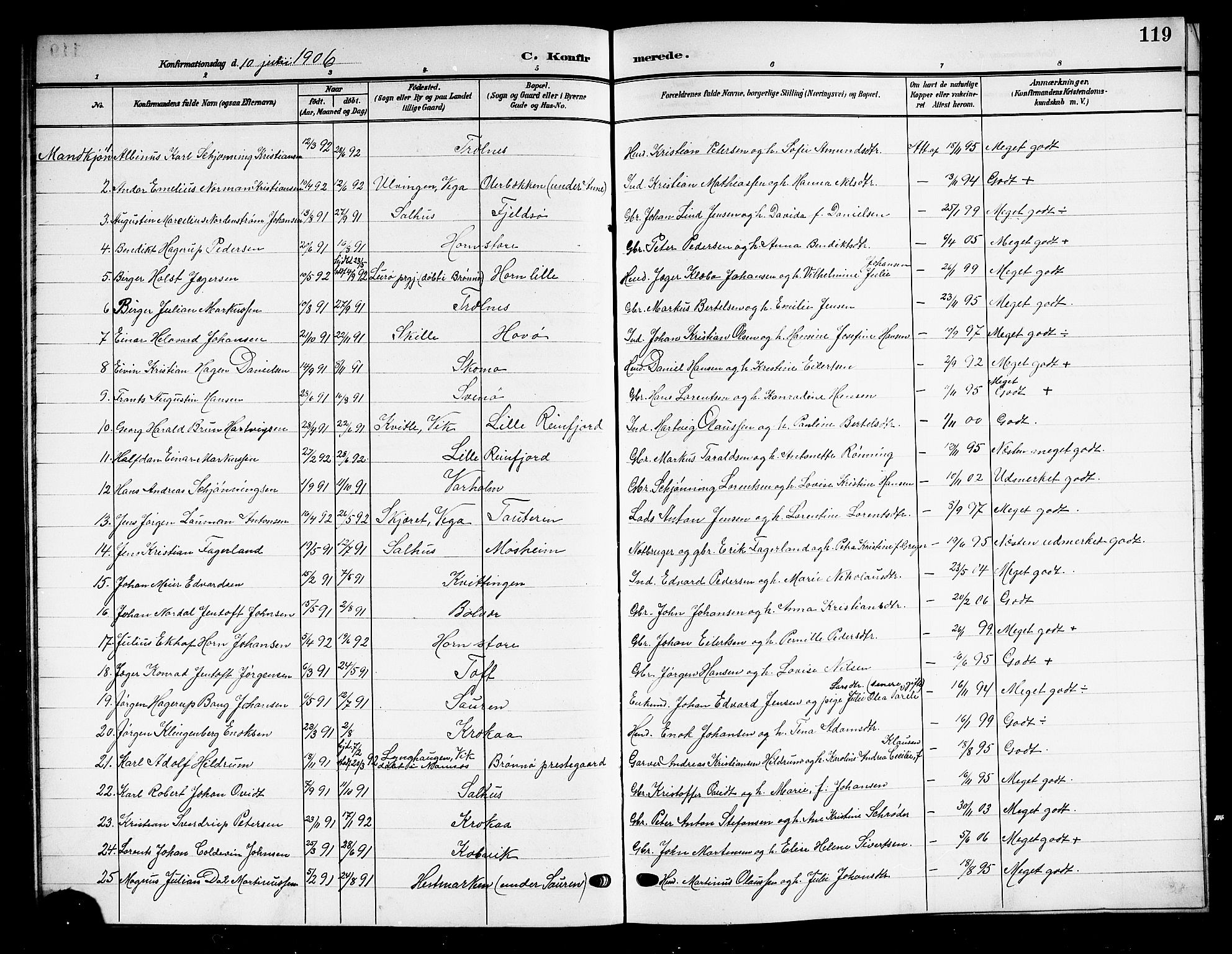 Ministerialprotokoller, klokkerbøker og fødselsregistre - Nordland, SAT/A-1459/813/L0214: Parish register (copy) no. 813C06, 1904-1917, p. 119