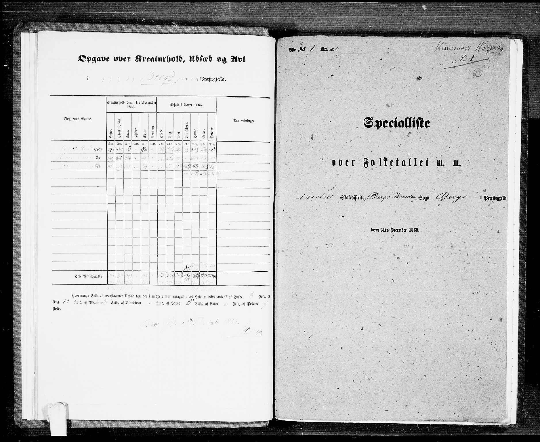 RA, 1865 census for Berg, 1865, p. 10