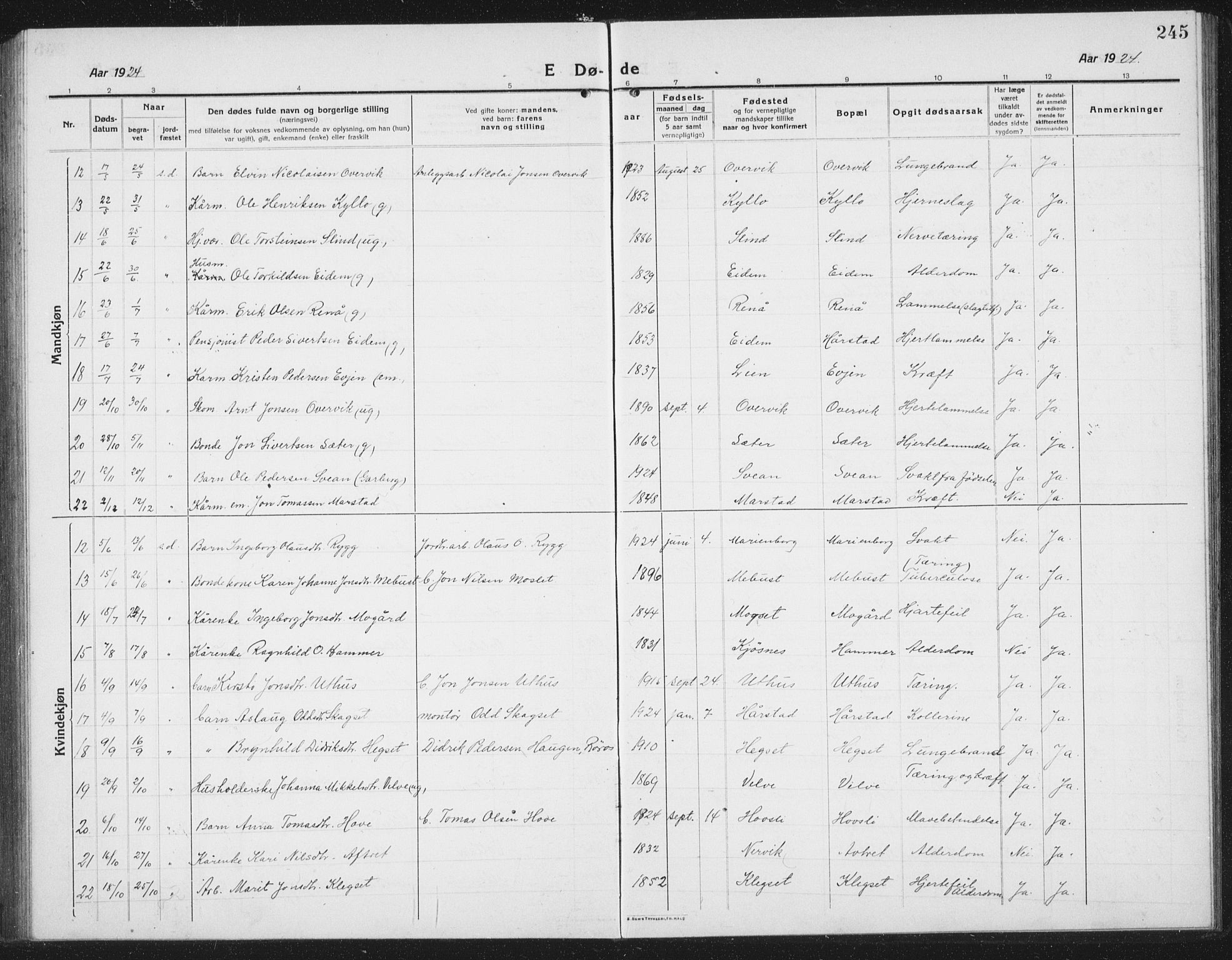 Ministerialprotokoller, klokkerbøker og fødselsregistre - Sør-Trøndelag, SAT/A-1456/695/L1158: Parish register (copy) no. 695C09, 1913-1940, p. 245