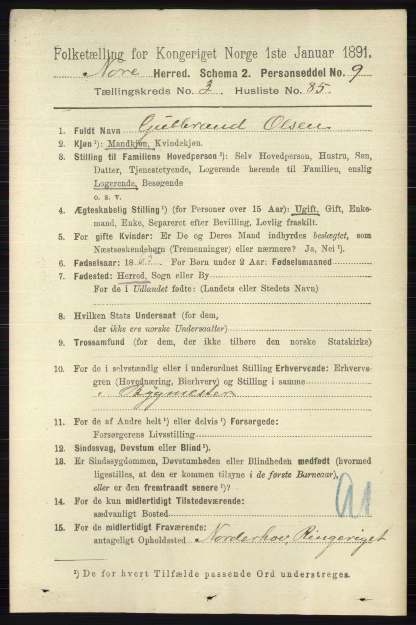 RA, 1891 census for 0633 Nore, 1891, p. 1216