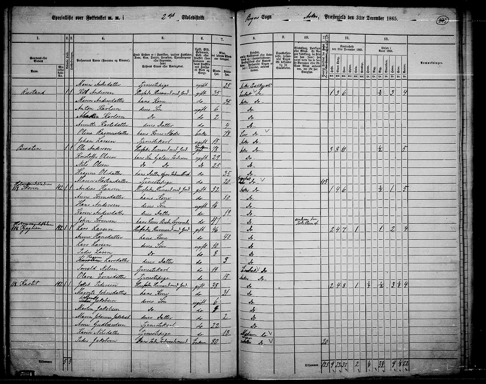 RA, 1865 census for Asker, 1865, p. 282