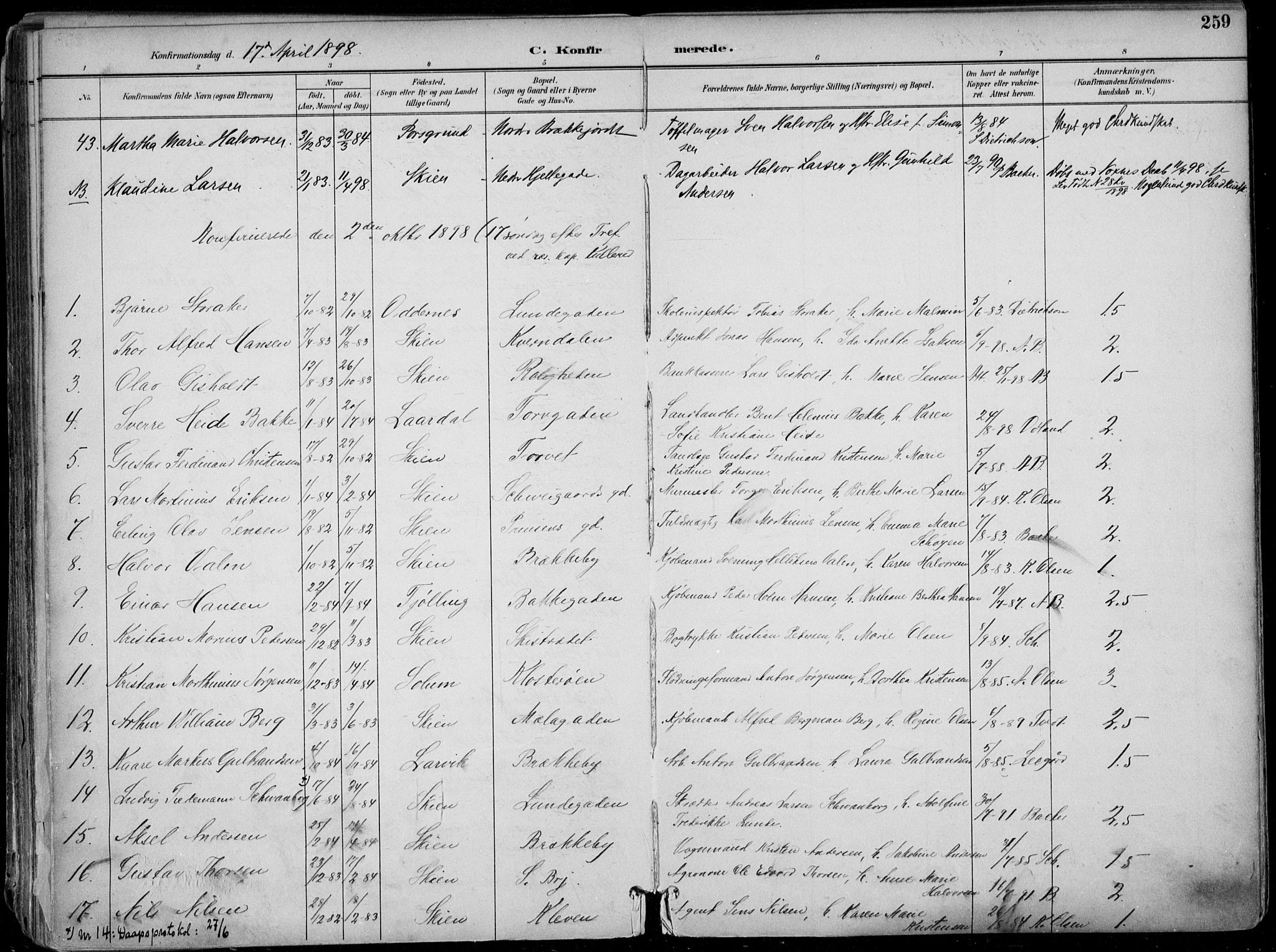 Skien kirkebøker, AV/SAKO-A-302/F/Fa/L0010: Parish register (official) no. 10, 1891-1899, p. 259