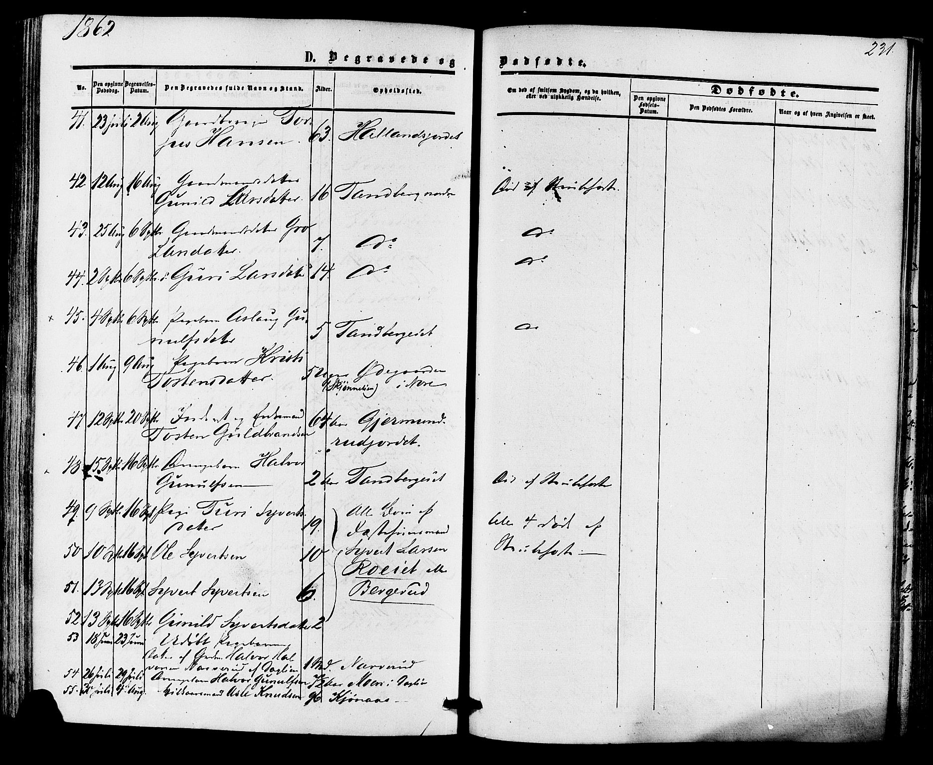 Nore kirkebøker, AV/SAKO-A-238/F/Fa/L0003: Parish register (official) no. I 3, 1858-1866, p. 231