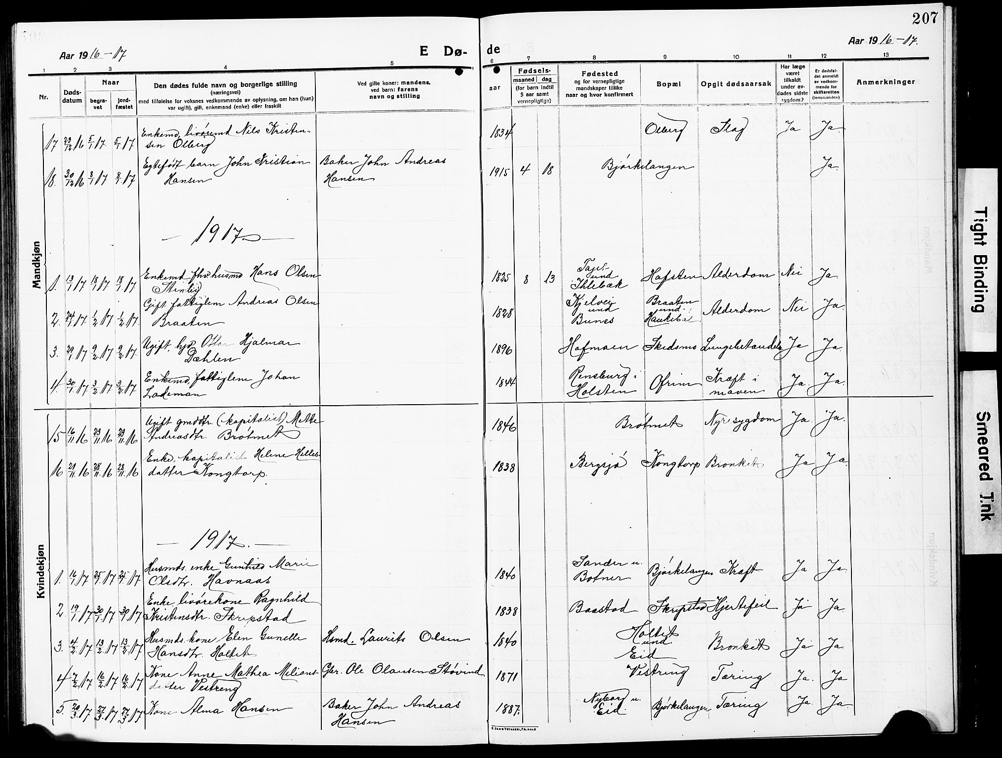 Høland prestekontor Kirkebøker, AV/SAO-A-10346a/G/Ga/L0008: Parish register (copy) no. I 8, 1915-1929, p. 207