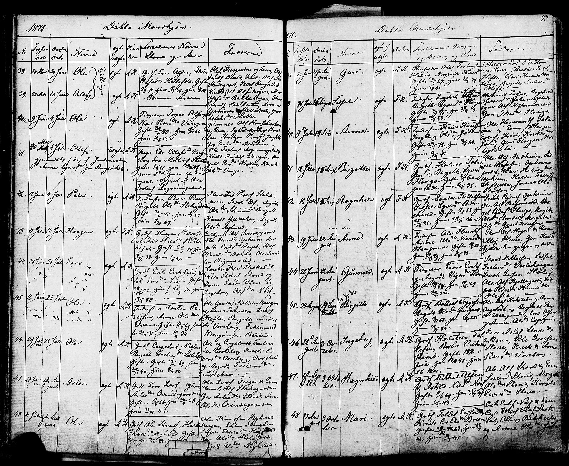 Ål kirkebøker, AV/SAKO-A-249/F/Fa/L0007: Parish register (official) no. I 7, 1865-1881, p. 73