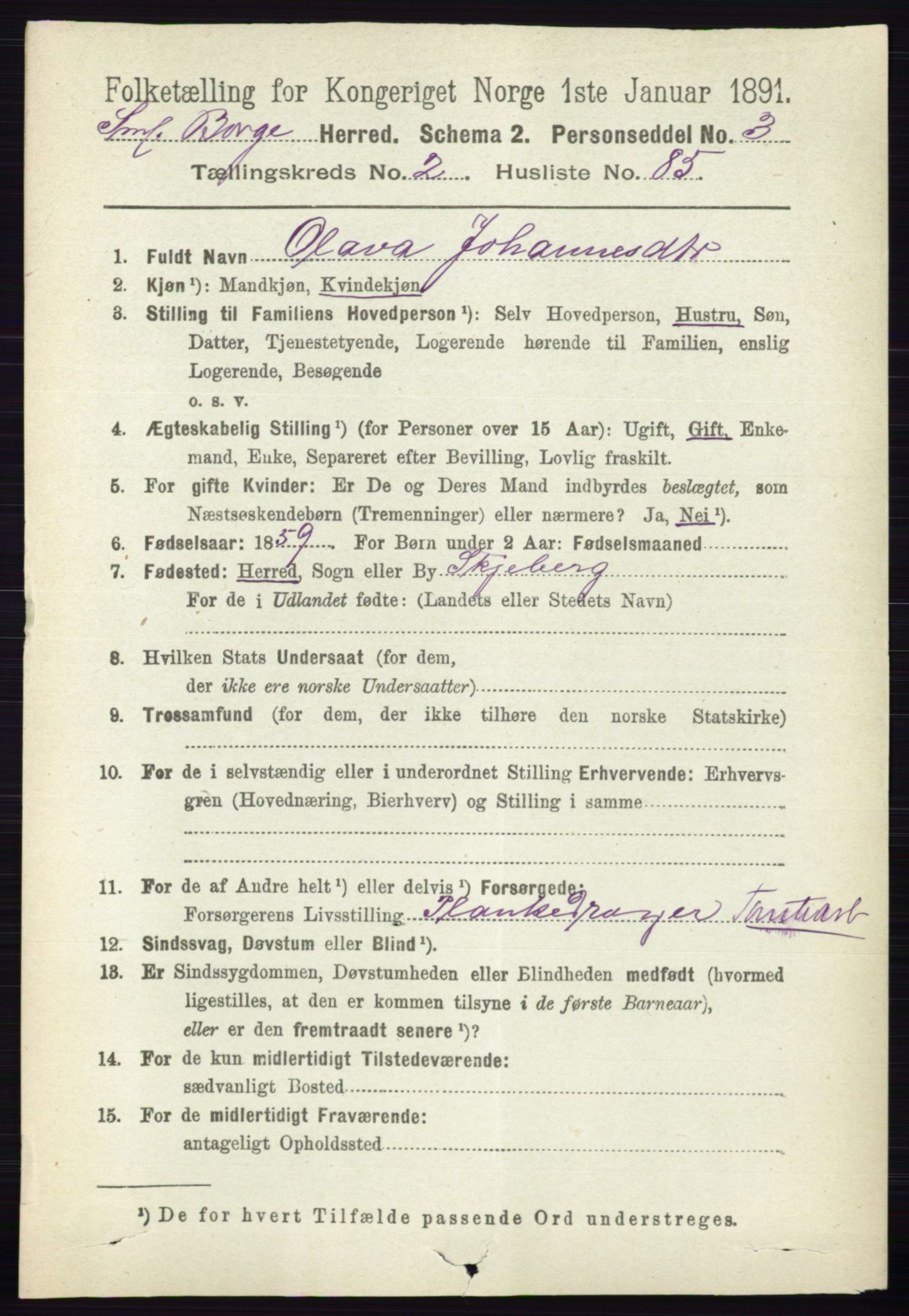 RA, 1891 census for 0113 Borge, 1891, p. 1345