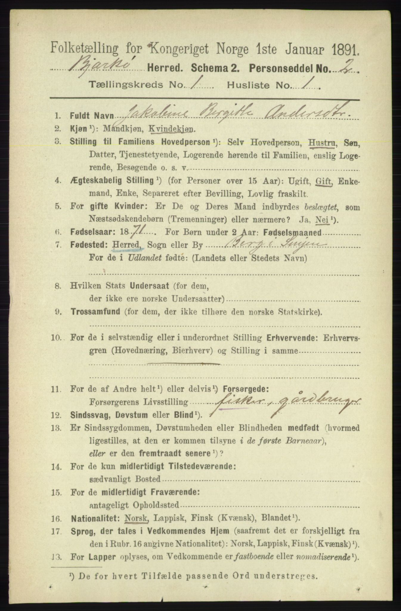 RA, 1891 census for 1915 Bjarkøy, 1891, p. 94