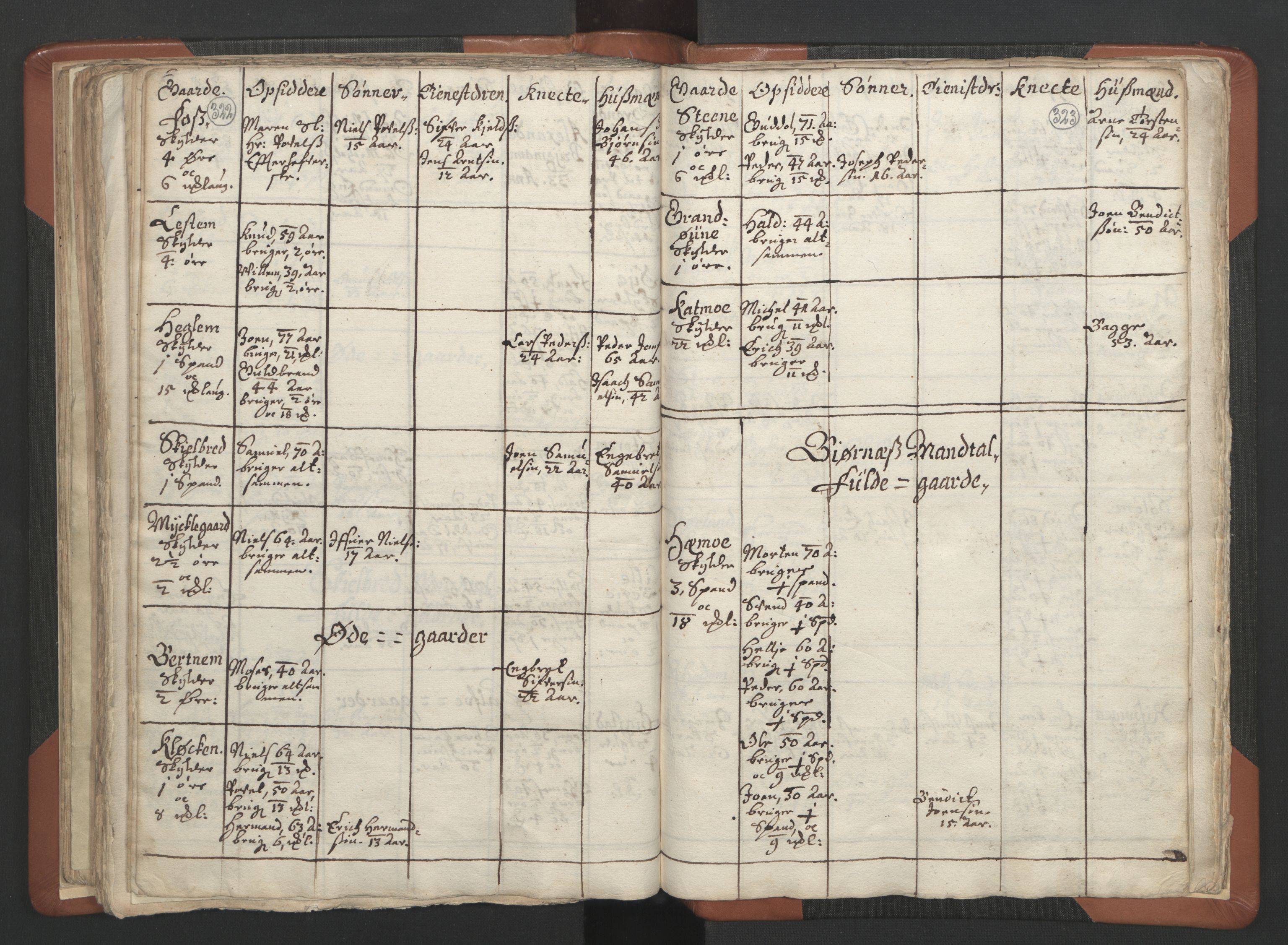 RA, Vicar's Census 1664-1666, no. 34: Namdal deanery, 1664-1666, p. 322-323