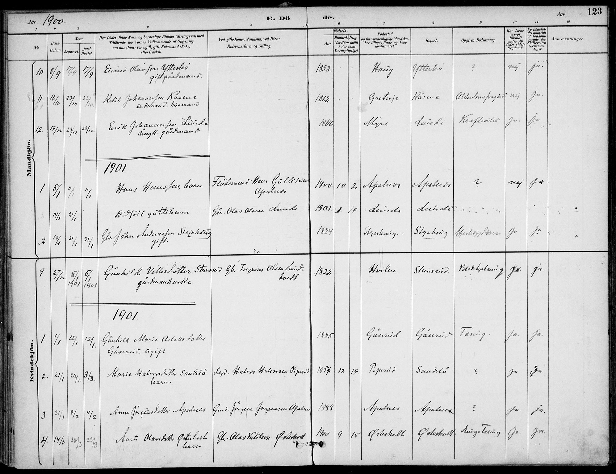 Lunde kirkebøker, SAKO/A-282/F/Fa/L0003: Parish register (official) no. I 3, 1893-1902, p. 123
