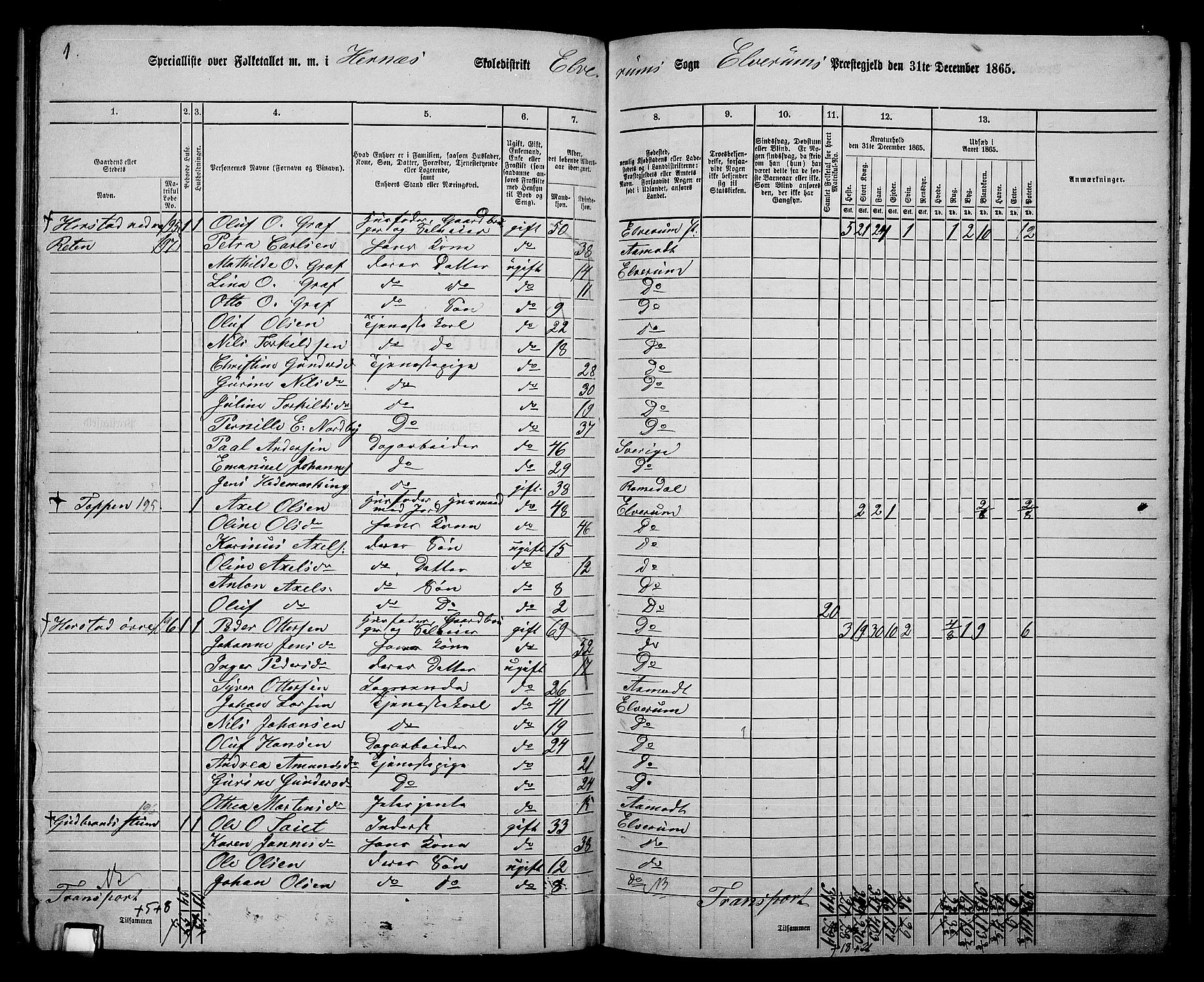 RA, 1865 census for Elverum, 1865, p. 167