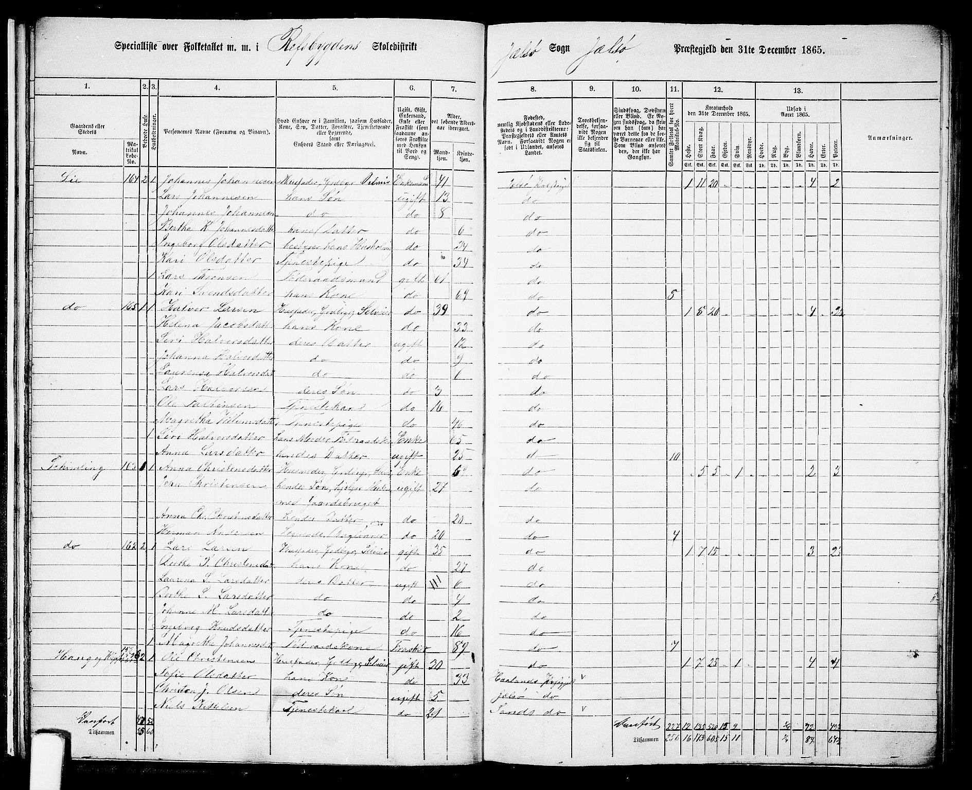 RA, 1865 census for Jelsa, 1865, p. 17