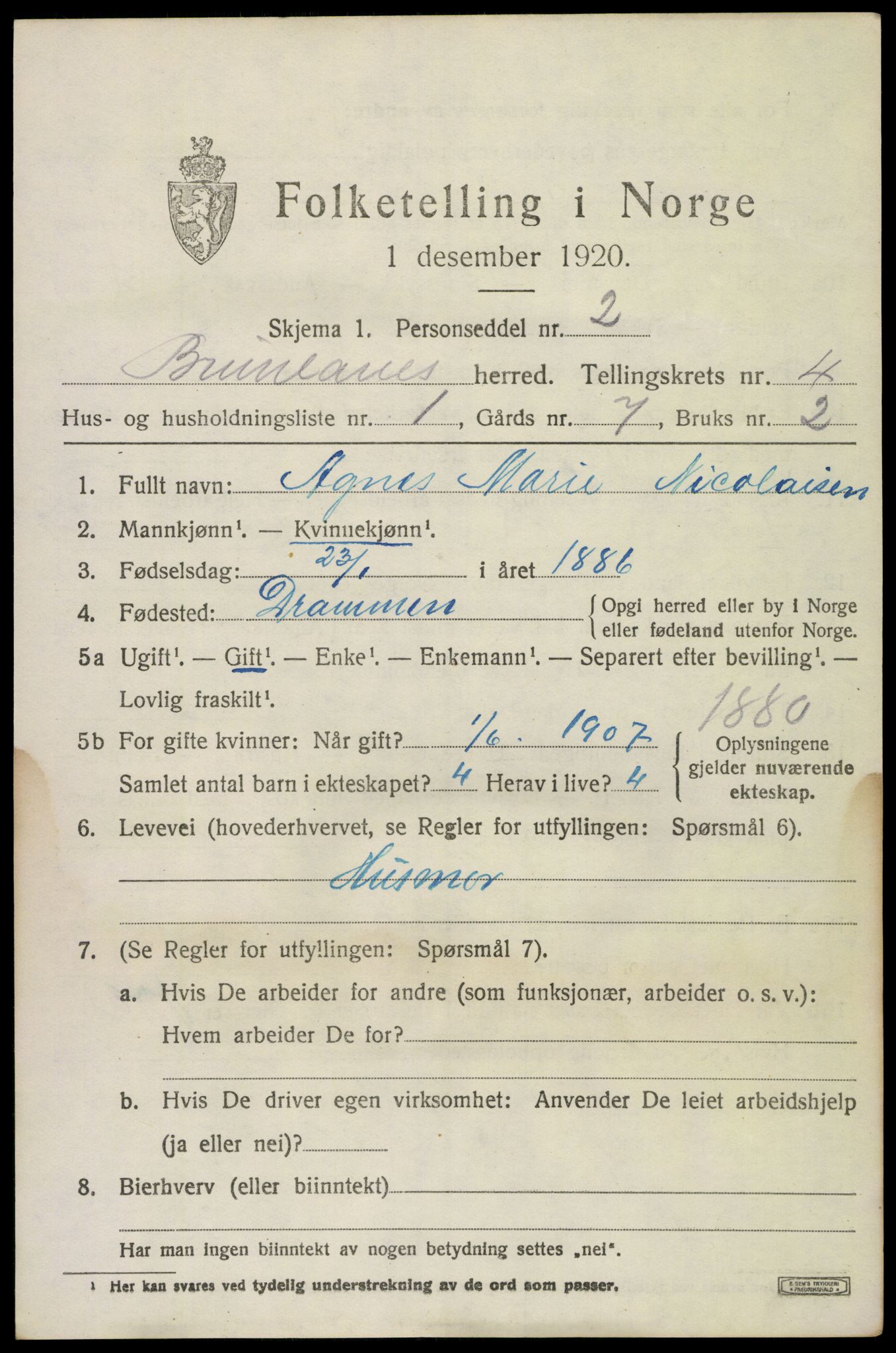 SAKO, 1920 census for Brunlanes, 1920, p. 6117