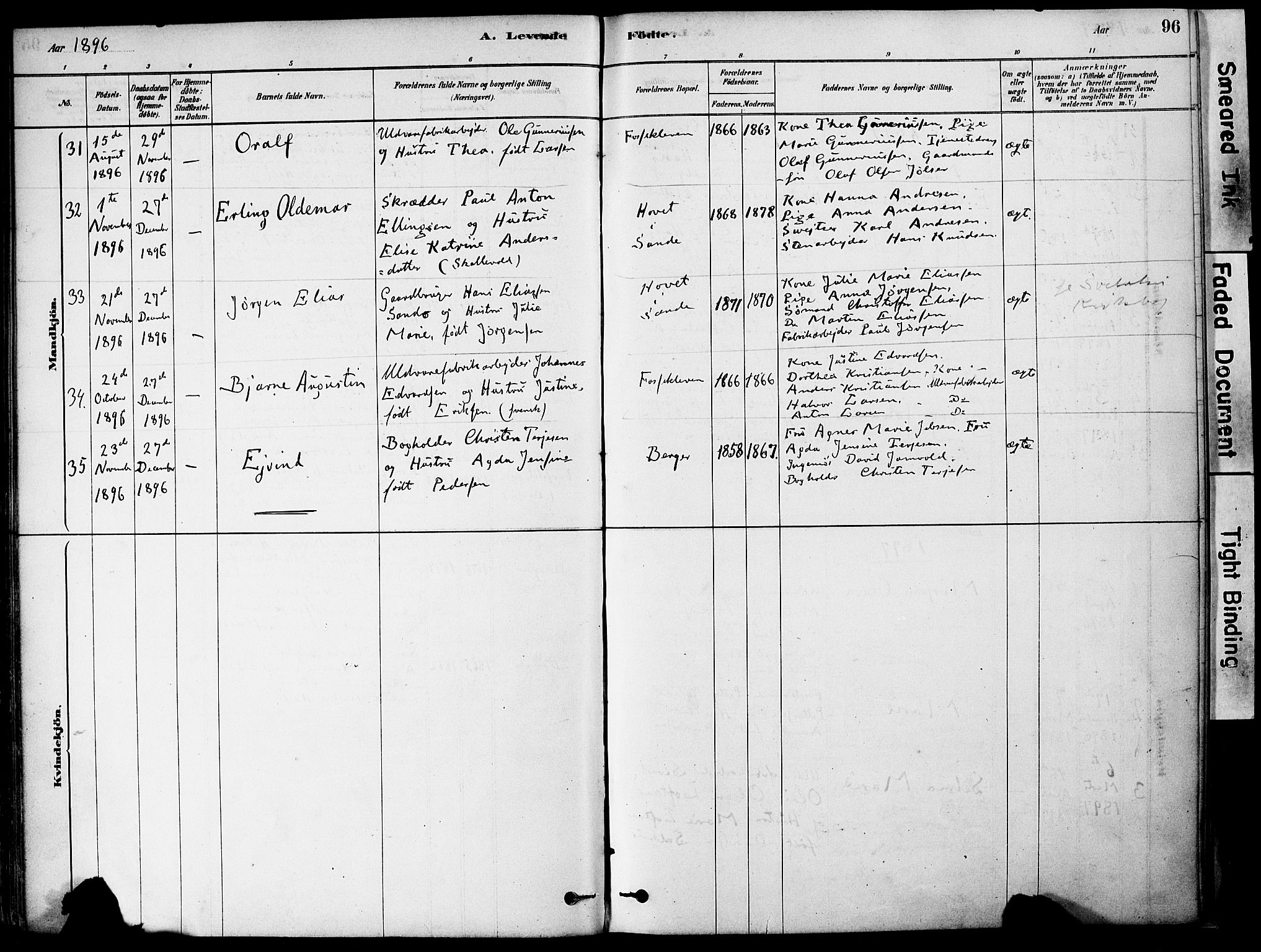 Strømm kirkebøker, AV/SAKO-A-322/F/Fa/L0004: Parish register (official) no. I 4, 1878-1899, p. 96