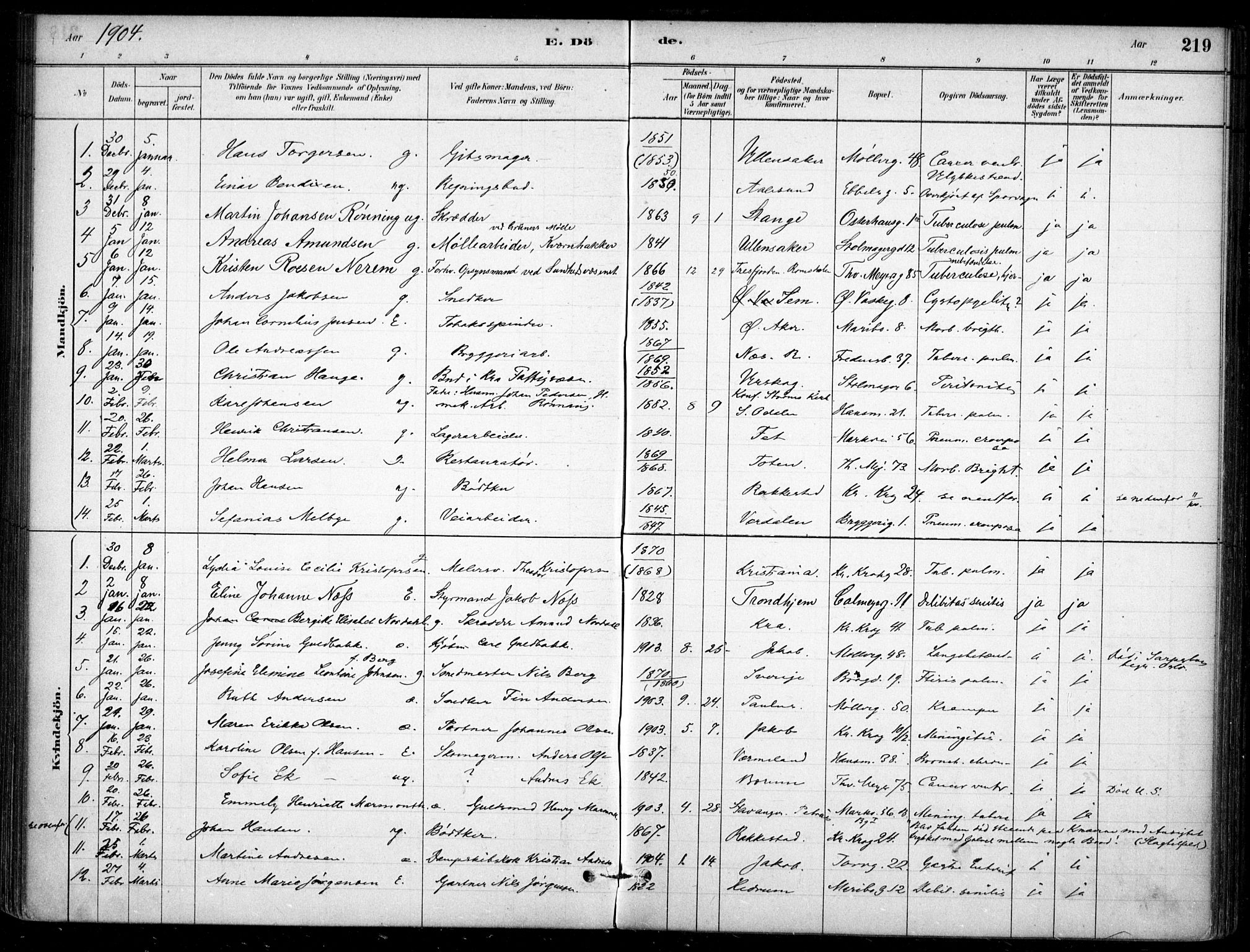 Jakob prestekontor Kirkebøker, SAO/A-10850/F/Fa/L0007: Parish register (official) no. 7, 1880-1905, p. 219