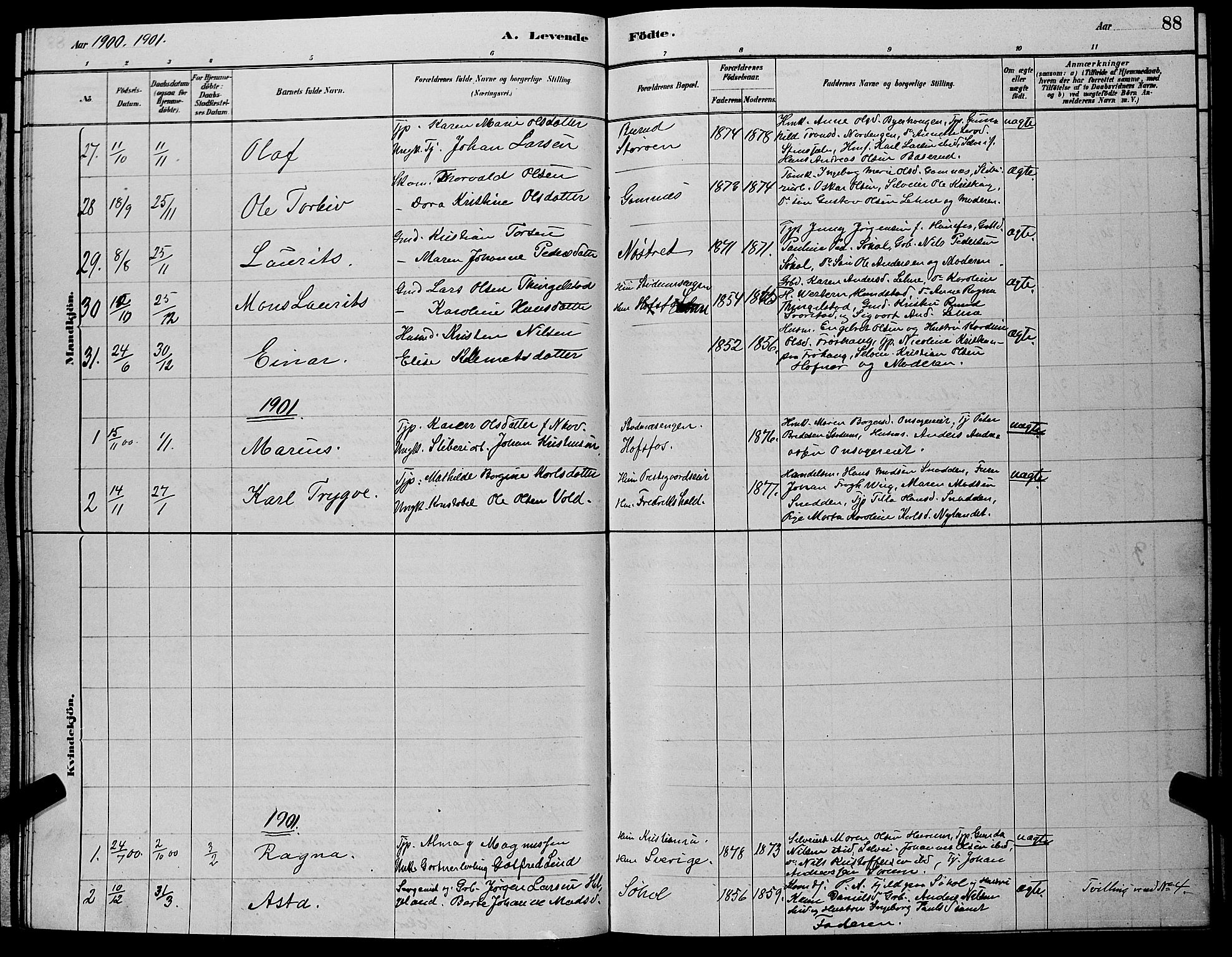 Hole kirkebøker, AV/SAKO-A-228/G/Ga/L0003: Parish register (copy) no. I 3, 1879-1904, p. 88