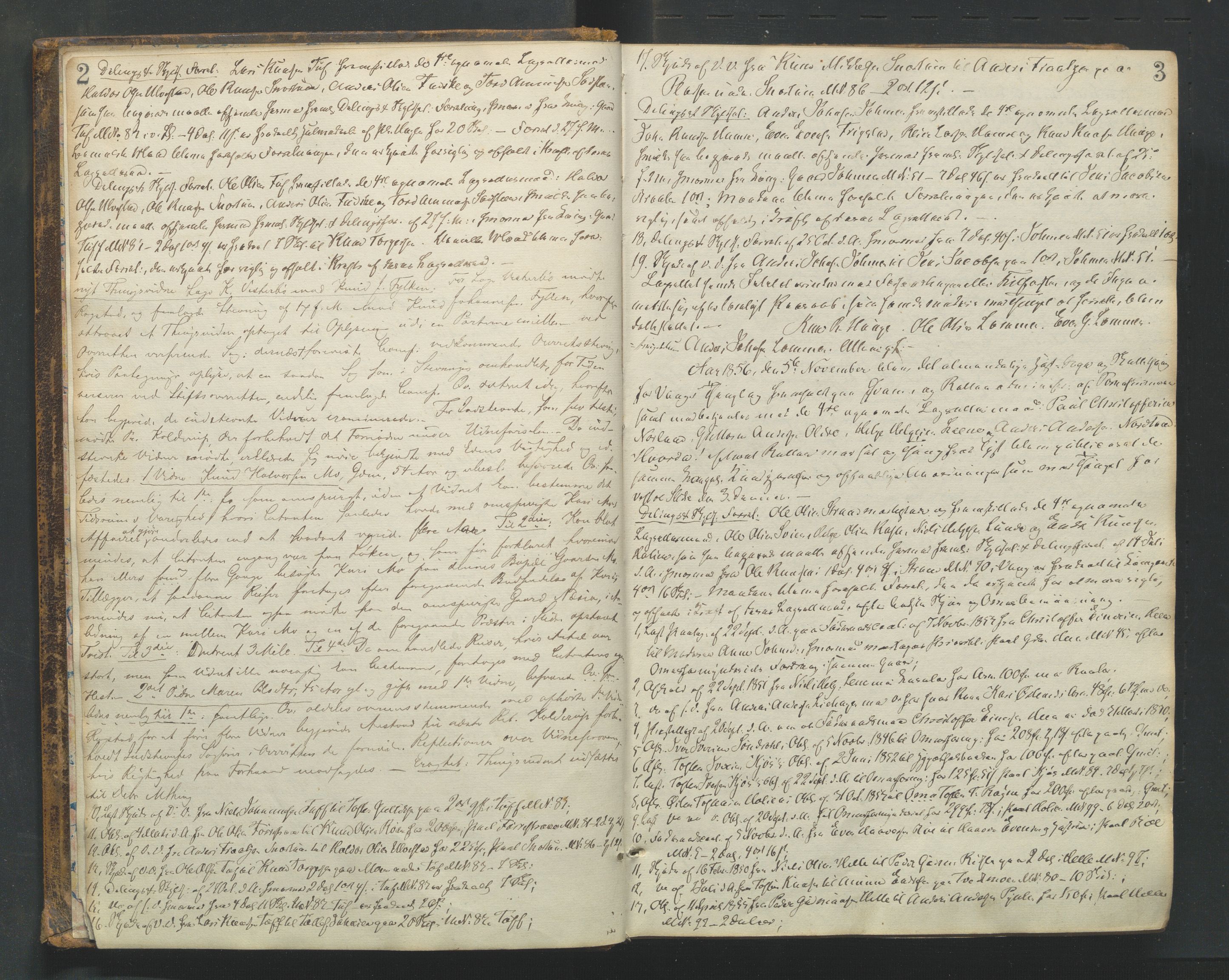 Valdres sorenskriveri, SAH/TING-016/G/Gb/L0011: Tingbok, 1856-1861, p. 2-3
