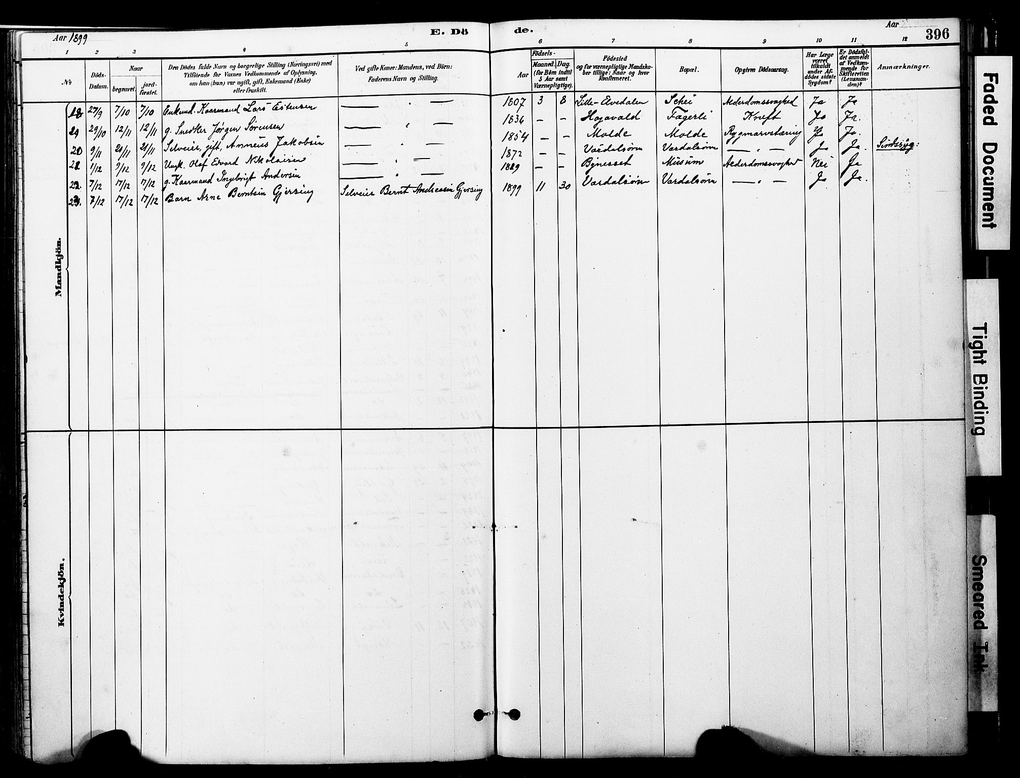 Ministerialprotokoller, klokkerbøker og fødselsregistre - Nord-Trøndelag, SAT/A-1458/723/L0244: Parish register (official) no. 723A13, 1881-1899, p. 396