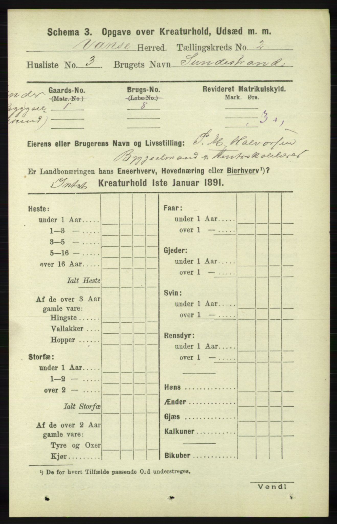 RA, 1891 census for 1041 Vanse, 1891, p. 7966