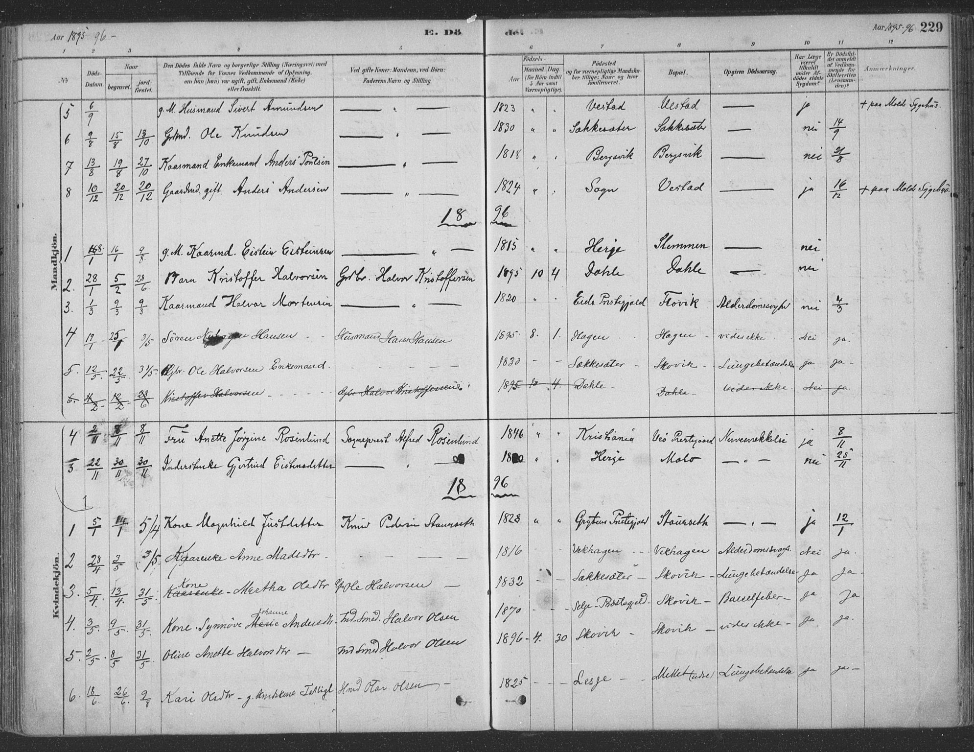 Ministerialprotokoller, klokkerbøker og fødselsregistre - Møre og Romsdal, AV/SAT-A-1454/547/L0604: Parish register (official) no. 547A06, 1878-1906, p. 229